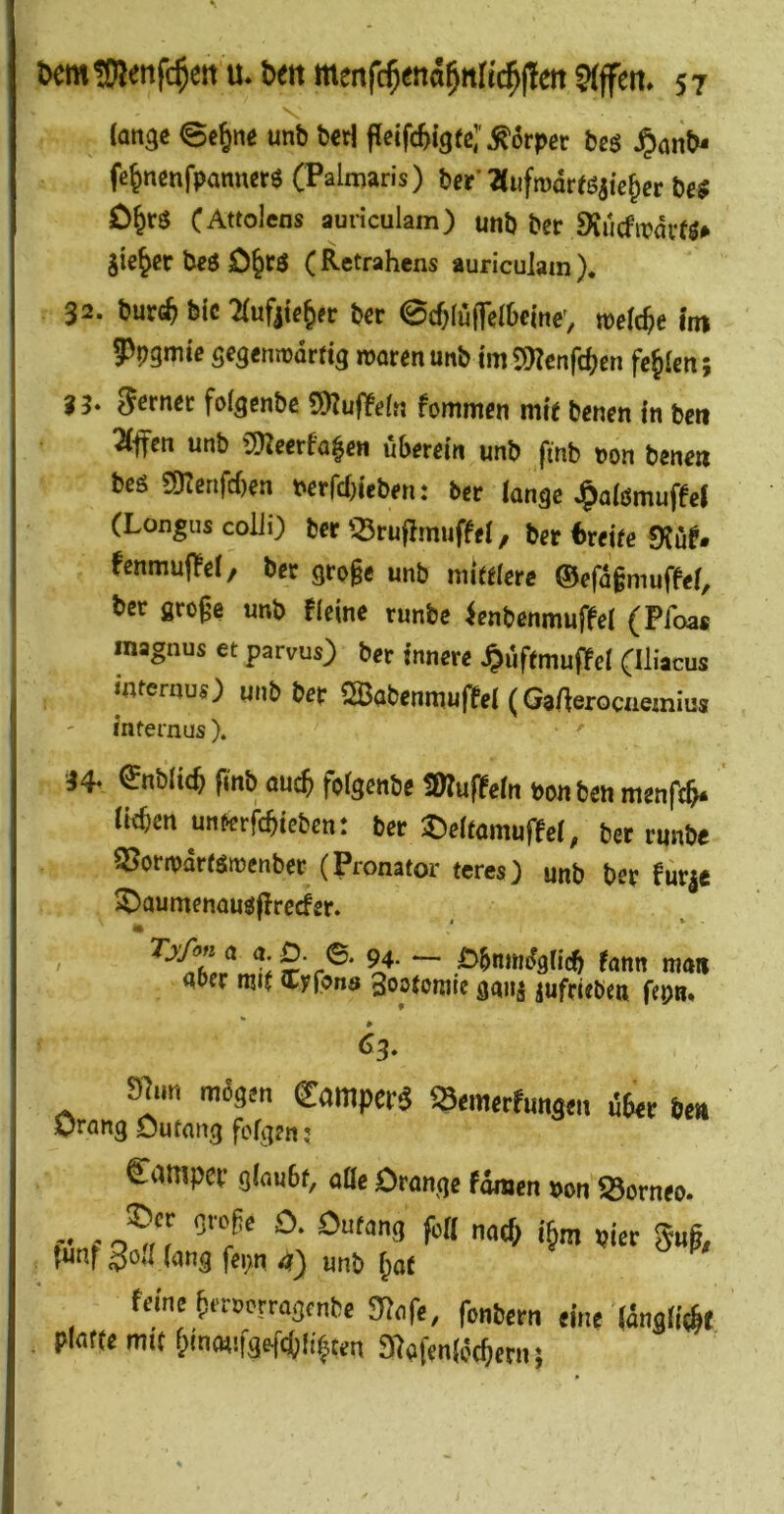(angc ©e^ne unb berl fietfe^igfe; ^6rper bcö J^anb- fe^nßnfpann«6 (Palmaris) ber'?(iifroareß3ic^cr bg$ CJrö CAttolens auriculam) unb ber 9vucfn?dvfö» Jte^cc b^6 ( Retrahens auriculam )* 32. burc^ btc 2(ufjif&er ber ©cOlüfTelOclnev welche i'ni ?)pgmic segemtdrtig mar^nunb im2!)?cnfc^cn fehlen; 9 3. Scrnec folgenbc 9)lu|Yeln fommen mie benen in ben 2(fcn unb Cülwrfa|cn überein unb finb Don benon beg Snerifcben Dcrrd)ieb?n: ber lange ^alßmufed (Longus coUi) ber '^ruflmuffel, ber Dreife Otuf. fenmufTPel, ber groge unb mittlere &efa§mu(M, ber firoge unb fleine runbe ienbenmuffel (Pfoa« inagnus et parvus) ber innere J^uftmuflfel (Iliacus uuernuo unb ber SBabenmujlPel (GaAerocaeaiius internus). ' 94- <^nblicb finb aucf> folgenbe töluffeln Don ben rnenfe^* licbm u^^erfcbiebcn: ber t)enomurfel, ber runbe 55oriDdrtßiDcnber (Pronator teres) unb ber fur|e ^aumenaußf^reefer. 2‘ r®‘ ??* pbnnidglicb (ann man aber nu( Cyfona 3os(ormc gaiiä jufrieben fepn* 03. Sinn mlgm CaiTipcrg ^^niwrfimaei. De» Orong Outang folgen; Camper glaubt, äße Orange fdmen Don Borneo. hinf hier 5ug, |nnf 30II lang fepn 4) unb ^at feine ^«»erragense gjofe, fonPem eine (änsli^i pinfte mu f;in«!f9ef(()li^ten 3}«fen(ij(^cm; i