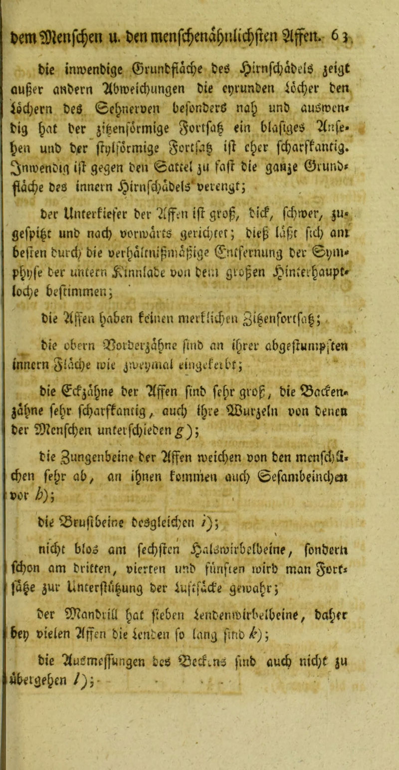 Hc inmenbige ©runbjtdc^e beö ^trnfd;dbelö ^eigC ou§er öNbern 7lbn)eicl)imgcn bie cpvunben lcd;ei- beit ied;ern beö 0el^nevoen befonberß na^ unb uuöiücti* big ^at ber jibenfoimige ein blafigeö ’2(nfe» ^en unb ber j^ylfocmige fc^arffanfig. 2inn)enbig ijT gegen beu 0attel jii fofl bie gan^e ©lunb# pd(^e beö inncin §trnft^)dbe(5‘bevengt; ber Unterfiefer ber '2[ffen i|l gro^, bief, fc^njer, ju« gefpi^c unb nad? »onvdii$ gerid;fer; biep ü^’f ftd) am. 6e(ren burd; bie üer^dimipmö|3ige (£ru‘ferniing ber 0vm* p^vfe ber untern ICinnlabe pon beni großen j>intei§aupc» lod;e befrimmen; ’ bie 2i}fea (;aben feinen mevflittfen 3i|enfortfo|; bie cbern Qf^otber^d^nc fmb an i^rer abgefiumpften tnnern 5'Idcbe wie jii>ei;mcd eiugefeibt; bie ^cfjd^ne ber Tijfen finb fcjirgrof; bie ^Öaefen* ^dj^ne fe(^r fd}arffant{g, öud; l^re 'iBuiyln von benctt ber SDIcnfcben unteifdjieben^); bie gnngenbeine ber Riffen weid^en pon ben mcnfd)Ü« eben fe^r ab, an i^nen femmen and} 0efambeind;m por /;); bie ^rufibeine bcägleid;cn i); ! nid}t bioo am fecbjrcn ^alöwirbeibeine, fonberti j fd)on am britten, pierfen unb fünften wirb man 5*or(* |a|e 5ur Unter|}ü|ung ber iuftfdcfe gewahr j ber ^anbiiÜ ^at jt'eben ienbenwirbelbeine, baber bep Pteien 7(|fen bie Renten fo lang fmb/’); bie 'Jiugmejfungen bcö ^ccfins fmb auch nid;t ju «beigeren /);•