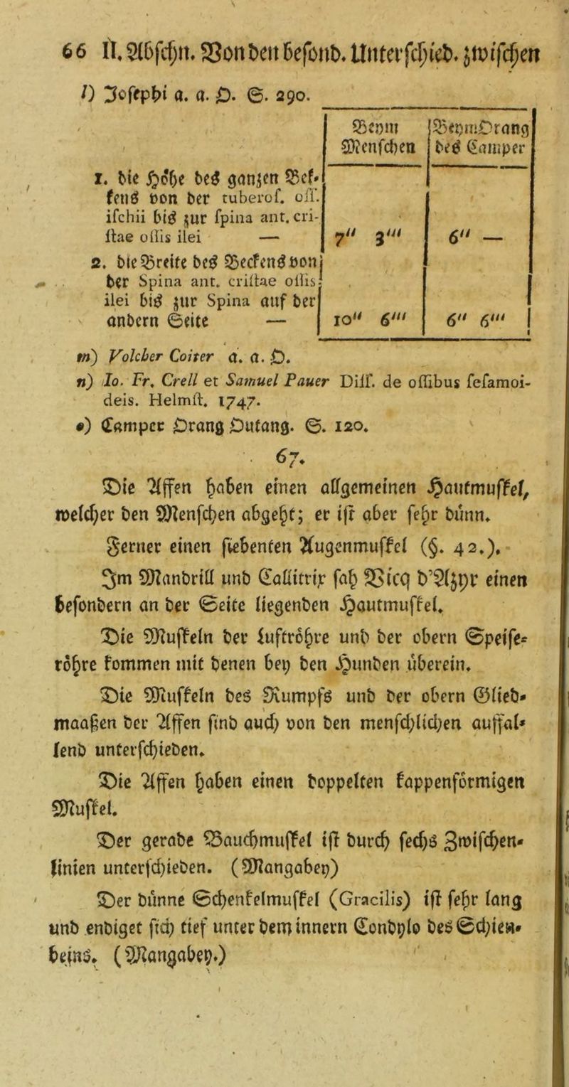 /) a. a. 6. 290. 55enni SJJcnfcben 5>epiiiDrflng beö (ifliuper I. bie ^cbe be^ ganjen IBcf» feuö üon ber tuberof. oiT. ifchii bi^ jur fpina ant. cri- llae üUis ilei — yU 3/// t ' 6 — 2. bie55reite bc^ 35ecfen^bonj ber Spina ant. crilUe oUis ilei bi^ jiir Spina auf ber ' anbern ©eite — 1 w») Volcber Coiter a. fl. 0. w) Io. Fr, Grell et Samuel Bauer Diif. de oflibus fefamoi- deis. Helmft. 1747. •) ^flmpcc Orang Dutflnö- ©. 120. ^ . 67, ^le Tljfen cmen affflcmetnen ^awtmufid, welcher ben SD^enfet^en abge^t; er i|r aber fe§r bunn* genier einen fiebenfen ^ugenmuffei (§. 42.).- 3m 9)Zflnbriü imö ^aßitrijr fa^ 25icq t)’54pr einen Sefonbern an ber 0eite Uegenben .^autmuffel* IDie 9Hu(lPeln ber iuftro^re unb ber obern 0peife* ro^re fommen nü( benen bei; ben ^Jnnben ubereim 3^ie ?9tuffetn beö EKumpfö unb ber obern ©üeb» niaa^en ber Tiffen finb aud; oon ben menfd;lid;en au||al» [enb unterfebieben* ^)ic Giften f;aben einen hoppelten fappenformigen SKujtel. ^er gerobe ^aucbmu(Tet i|l bureb Mö linien unter|d;ieben. (9)?anqabep) ^er banne 0d;enfelmuffei (Gracilis) ifl fe^r iang unb enbiget fiep tief unter beminnern donbplo beö0d;ie«* bejnö* (^3J^angabep.) '' -