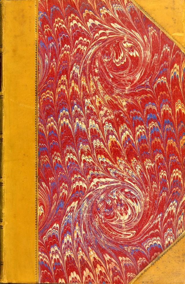 No text description is available for this image