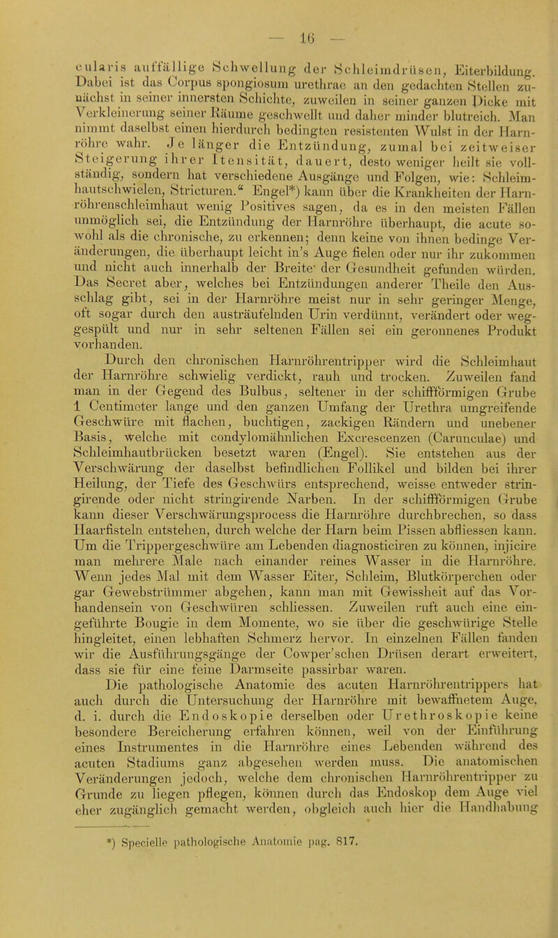 cularis auffällige! »Schwellung der Schlcinidrliseu, Eiterbildung. Dabei ist das Corjms spongiosuui uretlirae an den gedachten Stellen zu- nächst in seiner innersten Schichte, zuweilen in seiner ganzen Picke mit Verkleinerung seiner Räume geschwellt und daher minder blutreich. Man nimmt daselbst einen hierdurch bedingten resistenten Wulst in der Harn- röhre wahr. Je länger die Entzündung, zumal bei zeitweiser Steigerung ihrer Itensität, dauert, desto weniger heilt sie voll- ständig, sondern hat verschiedene Ausgänge und Folgen, wie: Schleim- hautschwielen, Stricturen. Engel*) kann über die Krankheiten der Harn- röhrenschleimhaut wenig Positives sagen, da es in den meisten Fällen unmöglich sei, die Entzündung der Harnröhre überhaupt, die acute so- wohl als die chronische, zu erkennen; denn keine von ihnen bedinge Ver- änderungen, die überhaupt leicht in's Auge fielen oder nur ihr zukommen und nicht auch innerhalb der Breite' der Gesundheit gefunden würden. Das Secret aber, welches bei Entzündungen anderer Theile den Aus- schlag gibt, sei in der Harnröhre meist nur in sehr geringer Menge, oft sogar durch den austräufelnden Urin verdünnt, verändert oder weg- gespült und nur in sehr seltenen Fällen sei ein geronnenes Produkt vorhanden. Durch den chronischen Harnröhrentripper wird die Schleimhaut der Harnröhre schwielig verdickt, rauh und trocken. Zuweilen fand man in der Gegend des Bulbus, seltener in der schifFförmigen Grube 1 Ceutimcter lange und den ganzen Umfang der Urethra umgreifende Geschwüre mit flachen, buchtigen, zackigen Rändern und unebener Basis, welche mit condylomähnlichen Excrescenzen (Cainuiculae) mid Schleimhautbrücken besetzt waren (Engel). Sie entstehen aus der Verschwärung der daselbst befindlichen Follikel und bilden bei ihrer Heilung, der Tiefe des Geschwürs entsprechend, weisse entweder strin- girende oder nicht stringirende Narben. In der schififörmigen (rrube kann dieser Verschwärungsprocess die Harnröhre durchbrechen, so dass Haarfisteln entstehen, durch welche der Harn beim Pissen abfliessen kann. Um die Trippergeschwüre am Lebenden diagnosticiren zu können, injicire man mehrere Male nach einander reines Wasser in die Harnröhre. Wenn jedes Mal mit dem Wasser Eiter, Schleim, Blutkörperchen oder gar Gewebstrümmer abgehen, kami man mit Gewissheit auf das Vor- handensein von Geschwiiren schliessen. Zuweilen ruft auch eine ein- geführte Bougie in dem Momente, wo sie ilber die geschwürige Stelle hingleitet, einen lebhaften Schmerz hervor. In einzelnen Fällen fanden wir die Ausführungsgänge der Cowper'sehen Drüsen derart erweitert, dass sie für eine feine Darmseite passirbar -waren. Die pathologische Anatomie des acuten Haruröhrentrippers hat auch durch die Untersuchung der Plarnröhre mit bewaffiietem Auge, d. i. durch die Endoskopie derselben oder Urethroskopie keine besondere Bereicherung erfahren können, weil von der Einführung eines Instrumentes in die Harnröhre eines Lebenden während des acuten Stadiums ganz abgeselien werden muss. Die anatomischen Veränderungen jedoch, welche dem chi-onischen Harnröhrentripper zu Grunde zu liegen pflegen, können durch das Endoskop dem Auge viel eher zugänglich gemacht werden, obgleich auch hier die Handhabung *) Specielle pathologische Aimloniie 817,