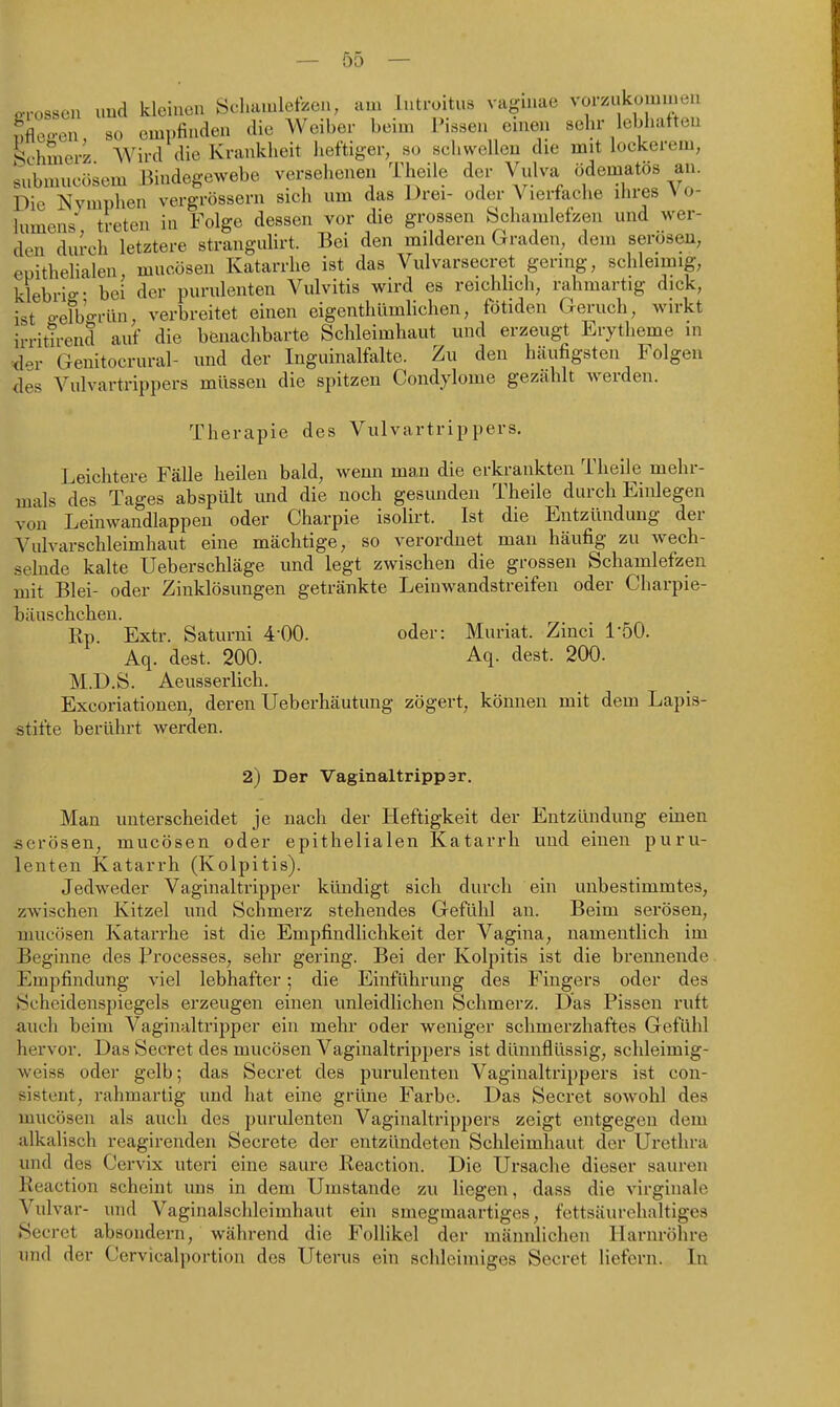 grossen und kleinen Sclutmletzen, am Introitus vaguiae vorzukomu en Sflco-en so empfinden die Weiber beim Pissen enien sehr lebhaften Schmerz Wird die Krankheit heftiger, so schwellen die mit lockerem, snbmucösem Bindegewebe versehenen Theile der Vidva ödematos an. Die Nymphen vergrössern sich um das Drei- oder Vierfache ihres N o- lumens, treten in Folge dessen vor die grossen Schamlefzen und wer- den durch letztere strangulirt. Bei den milderen Graden, dem serösen, epithelialen mucösen Katarrhe ist das Vulvarsecret gering, schleimig, klebrio-- bei der purulenten Vulvitis wird es reichhch, rahmartig dick, ist o-efb'o-rün, verbreitet einen eigenthümlichen, fotiden Geruch, wirkt irritirend auf die benachbarte Schleimhaut und erzeugt Erytheme in ^.r Genitocrural- und der Inguinalfalte. Zu den häufigsten Folgen des Vulvartrippers müssen die spitzen Condylome gezahlt werden. Therapie des Vulvartrippers. Leichtere Fälle heilen bald, wenn man die erkrankten Theile mehr- mals des Tages abspült imd die noch gesunden Theile durch Einlegen von Leinwandlappen oder Charpie isolirt. Ist die Entzündung der Yiilvarschleimhaut eine mächtige, so verordnet man häufig zu wech- selnde kalte Ueberschläge und legt zwischen die grossen Schamlefzen mit Blei- oder Zinklösungen getränkte Leinwandstreifen oder Charpie- bäuschchen. Rp. Extr. Saturni 4-00. oder: Muriat. Zinci 1-50. Aq. dest. 200. Aq. dest. 200. M.D.S. Aeussei-lich. Excoriationen, deren Ueberhäutung zögert, können mit dem Lapis- stifte berührt werden. 2) Der Vaginaltrippar. Man unterscheidet je nach der Heftigkeit der Entzündung einen serösen, mucösen oder epithelialen Katarrh und einen puru- lenten Katarrh (Kolpitis). Jedweder Vaginaltripper kündigt sich durch ein unbestimmtes, zwischen Kitzel und Schmerz stehendes Gefühl an. Beim serösen, mucösen Katarrhe ist die Empfindlichkeit der Vagina, namentlich im Beginne des Processes, sehr gering. Bei der Kolpitis ist die brennende Empfindung viel lebhafter; die Einführung des Fingers oder des Scheidenspiegels erzeugen einen unleidlichen Schmerz. Das Pissen ruft auch beim Vaginaltrippcr ein mehr oder weniger schmerzhaftes Gefühl hervor. Das Secret des mucösen Vaginaltrippers ist dünnflüssig, schleimig- weiss oder gelb; das Secret des purulenten Vaginaltrippers ist con- sistent, rahmartig und hat eine grüne Farbe. Das Secret sowohl des mucösen als auch des purulenten Vaginaltrippers zeigt entgegen dem -alkalisch reagirenden Secrete der entzündeten Schleimhaut der Urethra und des Cervix uteri eine saure Reaction. Die Ursache dieser sauren Reaction scheint uns in dem Umstände zu liegen, dass die virginale Vulvar- und Vaginalschleimhaut ein smegmaartiges, fettsäurehaltiges Secret absondern, während die Follikel der männlichen Harnröhre und der Cervicalportion des Uterus ein schleimiges Secret liefern. In