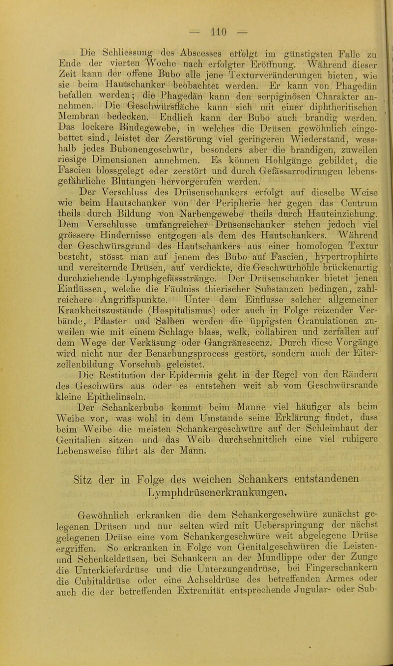 Die Sclil iessimg des Abscesses ei'folgt im günstigsten Falle zu Ende der vierten Woche nach erfolgter Eröfi'nung. Während dieser Zeit kann der offene Bubo alle jene Texturveränderungen bieten, wie sie beim Hautschanker beobachtet werden. Er kann von Phagedän befallen werden; die Phagedän kann den serpiginösen Charakter an- nehmen. Die Geschwlirsfläche kann sich mit einer diphtheritischen Membran bedecken. Endlich kann der Bubo auch brandig werden. Das lockere Bindegewebe, in welches die Drüsen gewöhnlich einge- bettet sind, leistet der Zerstörung viel geringeren Wiederstand, wess- halb jedes Bubonengeschwür, besonders aber die brandigen, zuweilen riesige Dimensionen annehmen. Es können Hohlgänge gebildet, die Fascien blossgelegt oder zerstört und durch Gefässarrodirungeu lebens- gefährliche Blutungen hervorgerufen werden. Der Verschluss des Drüsenschankers erfolgt auf dieselbe Weise wie beim Hautschanker von der Peripherie her gegen das Centrum theils durch Bildung von Narbengewebe theils durch Hauteinziehung. Dem Verschlusse umfangreicher Drüsenschanker stehen jedoch viel grössere Hindernisse entgegen als dem des Hautschankers. Während der Geschwürsgrund des Hautschankers aus einer homologen Textur besteht, stösst man auf jenem des Bubo auf Fascien, hypertrophirte und vereiternde Drüsen, auf verdickte, die Geschwürhöhle brückenartig durchziehende Lymphgefassstränge. Der Drüsenschanker bietet jenen Einflüssen, welche die Fäulniss thierischer Substanzen bedingen, zahl- reichere Angriffspunkte. Unter dem Einflüsse solcher allgemeiner Krankheitszustände (Hospitalismus) oder auch in Folge reizender Ver- bände, Pflaster und Salben werden die üppigsten Gramilationen zu- weilen wie mit einem Schlage blass, welk, coUabiren und zerfallen auf dem Wege der Verkäsung oder Gangränescenz. Durch diese Vorgänge wird nicht nur der Benarbungsprocess gestört, sondern auch der Eiter- zellenbildung Vorschub geleistet. Die Restitution der Epidermis geht m der Regel von den Rändern des Geschwürs aus oder es entstehen weit ab vom Geschwäü'srande kleine Epithelinseln. Der Schankerbubo kommt beim Manne viel häufiger als beim Weibe vor, was wohl in dem Umstände seine Erklärung findet, dass beim Weibe die meisten Schankergeschwüre auf der Schleimhaut der Genitalien sitzen und das Weib durchschnittlich eine viel ruhigere Lebensweise führt als der Mann. Sitz der in Folge des weichen Schankers entstandenen Lymphdrüsenerkrankungen. Gewöhnlich erkranken die dem Schankergeschwiü-e zunächst ge- legenen Drüsen und nur selten wird mit Ueberspringung der nächst gelegenen Drüse eine vom Schankergeschwüre weit abgelegene Drüse ergriffen. So erkranken in Folge von Genitalgeschwüren die Leisten- und Schenkeldrüsen, bei Schankern an der Mundlippe oder der Zunge die Unterkieferdrüse und die Unterzungendrüse, bei Fingerschankern die Cubitaldrüse oder eine Achseldrüse des betreffenden Ai-mes oder auch die der betreffenden Extremität entsprechende Jugular- oder Sub-