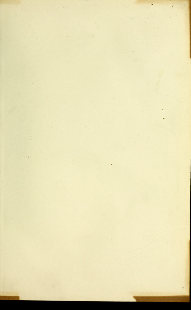digitised image 3