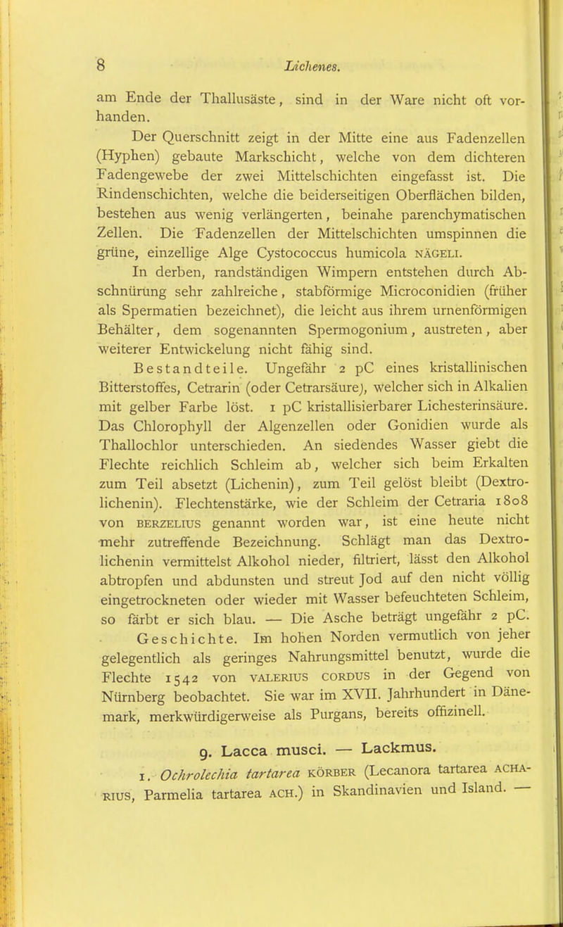 am Ende der Thallusäste, sind in der Ware nicht oft vor- handen. Der Querschnitt zeigt in der Mitte eine aus Fadenzellen (Hyphen) gebaute Markschicht, welche von dem dichteren Fadengewebe der zwei Mittelschichten eingefasst ist. Die Rindenschichten, welche die beiderseitigen Oberflächen bilden, bestehen aus wenig verlängerten, beinahe parenchymatischen Zellen. Die Fadenzellen der Mittelschichten umspinnen die grüne, einzellige Alge Cystococcus humicola nägeli. In derben, randständigen Wimpern entstehen durch Ab- schnürung sehr zahlreiche, stabförmige Microconidien (früher als Spermatien bezeichnet), die leicht aus ihrem urnenförmigen Behälter, dem sogenannten Spermogonium, austreten , aber weiterer Entwickelung nicht fähig sind. Bestandteile. Ungefähr 2 pC eines kristallinischen Bitterstoffes, Cetrarin (oder Cetrarsäurej, welcher sich in Alkalien mit gelber Farbe löst. 1 pC kristallisierbarer Lichesterinsäure. Das Chlorophyll der Algenzellen oder Gonidien wurde als Thallochlor unterschieden. An siedendes Wasser giebt die Flechte reichlich Schleim ab, welcher sich beim Erkalten zum Teil absetzt (Lichenin), zum Teil gelöst bleibt (Dextro- lichenin). Flechtenstärke, wie der Schleim der Cetraria 1808 von berzelius genannt worden war, ist eine heute nicht mehr zutreffende Bezeichnung. Schlägt man das Dextro- lichenin vermittelst Alkohol nieder, filtriert, lässt den Alkohol abtropfen und abdunsten und streut Jod auf den nicht völlig eingetrockneten oder wieder mit Wasser befeuchteten Schleim, so färbt er sich blau. — Die Asche beträgt ungefähr 2 pC. Geschichte. Im hohen Norden vermutlich von jeher gelegentlich als geringes Nahrungsmittel benutzt, wurde die Flechte 1542 von Valerius cordus in der Gegend von Nürnberg beobachtet. Sie war im XVII. Jahrhundert in Däne- mark, merkwürdigerweise als Purgans, bereits offizinell. g. Lacca musci. — Lackmus. 1. Ochrolechia tartarea körber (Lecanora tartarea acha- rius, Parmelia tartarea ach.) in Skandinavien und Island. —