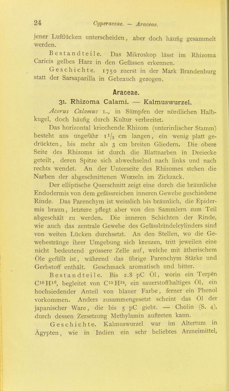 jener Luftlücken unterscheiden, aber doch häufig gesammelt werden. Bestandteile. Das Mikroskop lässt im Rhizoma Caricis gelbes Harz in den Gefässen erkennen. Geschichte. 1750 zuerst in der Mark Brandenburg statt der Sarsaparilla in Gebrauch gezogen. Araceae. 31. Rhizoma Calami. — Kalmuswurzel. Acorus Calamus l., in Sümpfen der nördlichen Halb- kugel, doch häufig durch Kultur verbreitet. Das horizontal kriechende Rhizom (unterirdischer Stamm) besteht aus ungefähr ii/a cm langen, ein wenig platt ge- drückten , bis mehr als 3 cm breiten Gliedern. Die obere Seite des Rhizoms ist durch die Blattnarben in Dreiecke geteilt, deren Spitze sich abwechselnd nach links und nach rechts wendet. An der Unterseite des Rhizomes stehen die Narben der abgeschnittenen Wurzeln im Zickzack. Der elliptische Querschnitt zeigt eine durch die bräunliche Endodermis von dem gefässreichen inneren Gewebe geschiedene Rinde. Das Parenchym ist weisslich bis bräunlich, die Epider- mis braun, letztere pflegt aber von den Sammlern zum Teil abgeschält zu werden. Die inneren Schichten der Rinde, wie auch das zentrale Gewebe des Gefässbündelcylinders sind von weiten Lücken durchsetzt. An den Stellen, wo die Ge- webestränge ihrer Umgebung sich kreuzen, tritt jeweilen eine nicht bedeutend grössere Zelle auf, welche mit ätherischem Öle gefüllt ist, während das übrige Parenchym Stärke und Gerbstoff enthält. Geschmack aromatisch und bitter. Bestandteile. Bis 2.8 pC Öl, worin ein Terpen C10H16, begleitet von C15H24, ein sauerstoffhaltiges öl, ein hochsiedender Anteil von blauer Farbe, ferner ein Phenol vorkommen. Anders zusammengesetzt scheint das Öl der japanischer Ware, die bis 5 pC giebt. — Cholin (S. 4), durch dessen Zersetzung Methylamin auftreten kann. Geschichte. Kalmuswurzel war im Altertum in Ägypten, wie in Indien ein sehr beliebtes Arzneimittel,