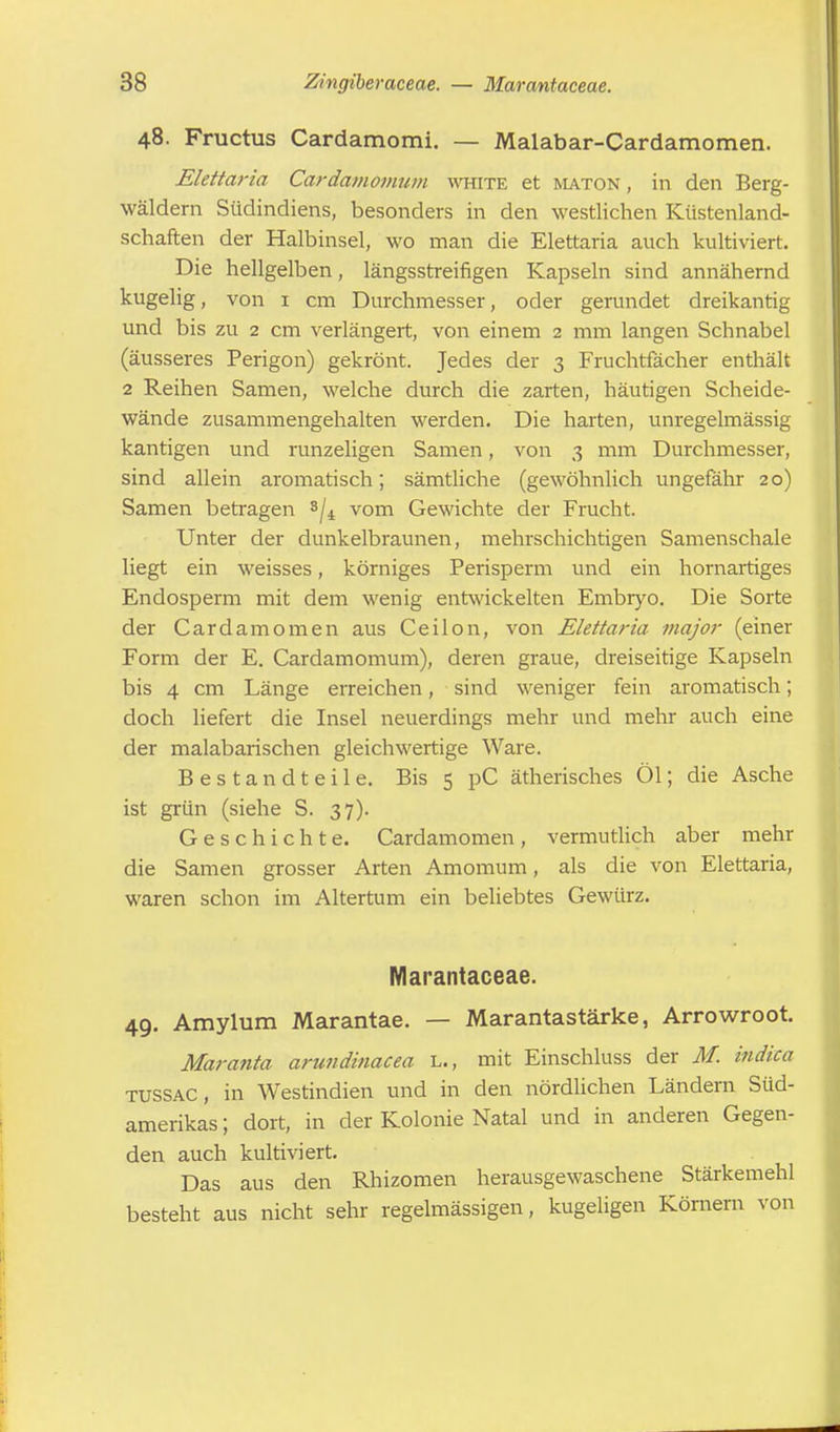 48. Fructus Cardamomi. — Malabar-Cardamomen. Elettaria Cardamomum white et maton , in den Berg- wäldern Südindiens, besonders in den westlichen Küstenland- schaften der Halbinsel, wo man die Elettaria auch kultiviert. Die hellgelben, längsstreifigen Kapseln sind annähernd kugelig, von 1 cm Durchmesser, oder gerundet dreikantig und bis zu 2 cm verlängert, von einem 2 mm langen Schnabel (äusseres Perigon) gekrönt. Jedes der 3 Fruchtfächer enthält 2 Reihen Samen, welche durch die zarten, häutigen Scheide- wände zusammengehalten werden. Die harten, unregelmässig kantigen und runzeligen Samen, von 3 mm Durchmesser, sind allein aromatisch; sämtliche (gewöhnlich ungefähr 20) Samen betragen 8/4 vom Gewichte der Frucht. Unter der dunkelbraunen, mehrschichtigen Samenschale liegt ein weisses, körniges Perisperm und ein hornartiges Endosperm mit dem wenig entwickelten Embryo. Die Sorte der Cardamomen aus Ceilon, von Elettaria major (einer Form der E. Cardamomum), deren graue, dreiseitige Kapseln bis 4 cm Länge erreichen, sind weniger fein aromatisch; doch liefert die Insel neuerdings mehr und mehr auch eine der malabarischen gleichwertige Ware. Bestandteile. Bis 5 pC ätherisches Öl; die Asche ist grün (siehe S. 37). Geschichte. Cardamomen, vermutlich aber mehr die Samen grosser Arten Amomum, als die von Elettaria, waren schon im Altertum ein beliebtes Gewürz. Marantaceae. 49. Amylum Marantae. — Marantastärke, Arrowroot. Maranta arundinacea L., mit Einschluss der M. indica tussac, in Westindien und in den nördlichen Ländern Süd- amerikas ; dort, in der Kolonie Natal und in anderen Gegen- den auch kultiviert. Das aus den Rhizomen herausgewaschene Stärkemehl besteht aus nicht sehr regelmässigen, kugeligen Körnern von