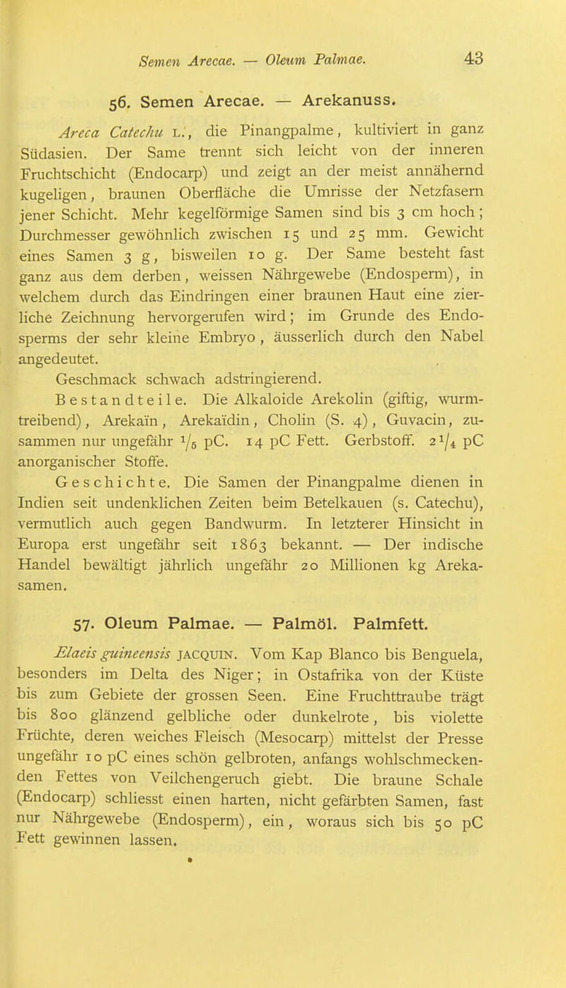 56. Semen Arecae. — Arekanuss. Areca Catechu l., die Pinangpalme, kultiviert in ganz Südasien. Der Same trennt sich leicht von der inneren Fruchtschicht (Endocarp) und zeigt an der meist annähernd kugeligen, braunen Oberfläche die Umrisse der Netzfasern jener Schicht. Mehr kegelförmige Samen sind bis 3 cm hoch; Durchmesser gewöhnlich zwischen 15 und 25 mm. Gewicht eines Samen 3 g, bisweilen 10 g. Der Same besteht fast ganz aus dem derben, weissen Nährgewebe (Endosperm), in welchem durch das Eindringen einer braunen Haut eine zier- liche Zeichnung hervorgerufen wird; im Grunde des Endo- sperms der sehr kleine Embryo, äusserlich durch den Nabel angedeutet. Geschmack schwach adstringierend. Bestandteile. Die Alkaloide Arekolin (giftig, wurm- treibend) , Arekain, Arekäidin, Cholin (S. 4), Guvacin, zu- sammen nur ungefähr ^5 pC. 14 pC Fett. Gerbstoff. 2*/^ pC anorganischer Stoffe. Geschichte. Die Samen der Pinangpalme dienen in Indien seit undenklichen Zeiten beim Betelkauen (s. Catechu), vermutlich auch gegen Bandwurm. In letzterer Hinsicht in Europa erst ungefähr seit 1863 bekannt. — Der indische Handel bewältigt jährlich ungefähr 20 Millionen kg Areka- samen. 57. Oleum Palmae. — Palmöl. Palmfett. Elaeis guineensis jacquin. Vom Kap Blanco bis Benguela, besonders im Delta des Niger; in Ostafrika von der Küste bis zum Gebiete der grossen Seen. Eine Fruchttraube trägt bis 800 glänzend gelbliche oder dunkelrote, bis violette Früchte, deren weiches Fleisch (Mesocarp) mittelst der Presse ungefähr 1 o pC eines schön gelbroten, anfangs wohlschmecken- den Fettes von Veilchengeruch giebt. Die braune Schale (Endocarp) schliesst einen harten, nicht gefärbten Samen, fast nur Nährgewebe (Endosperm), ein, woraus sich bis 50 pC Fett gewinnen lassen.