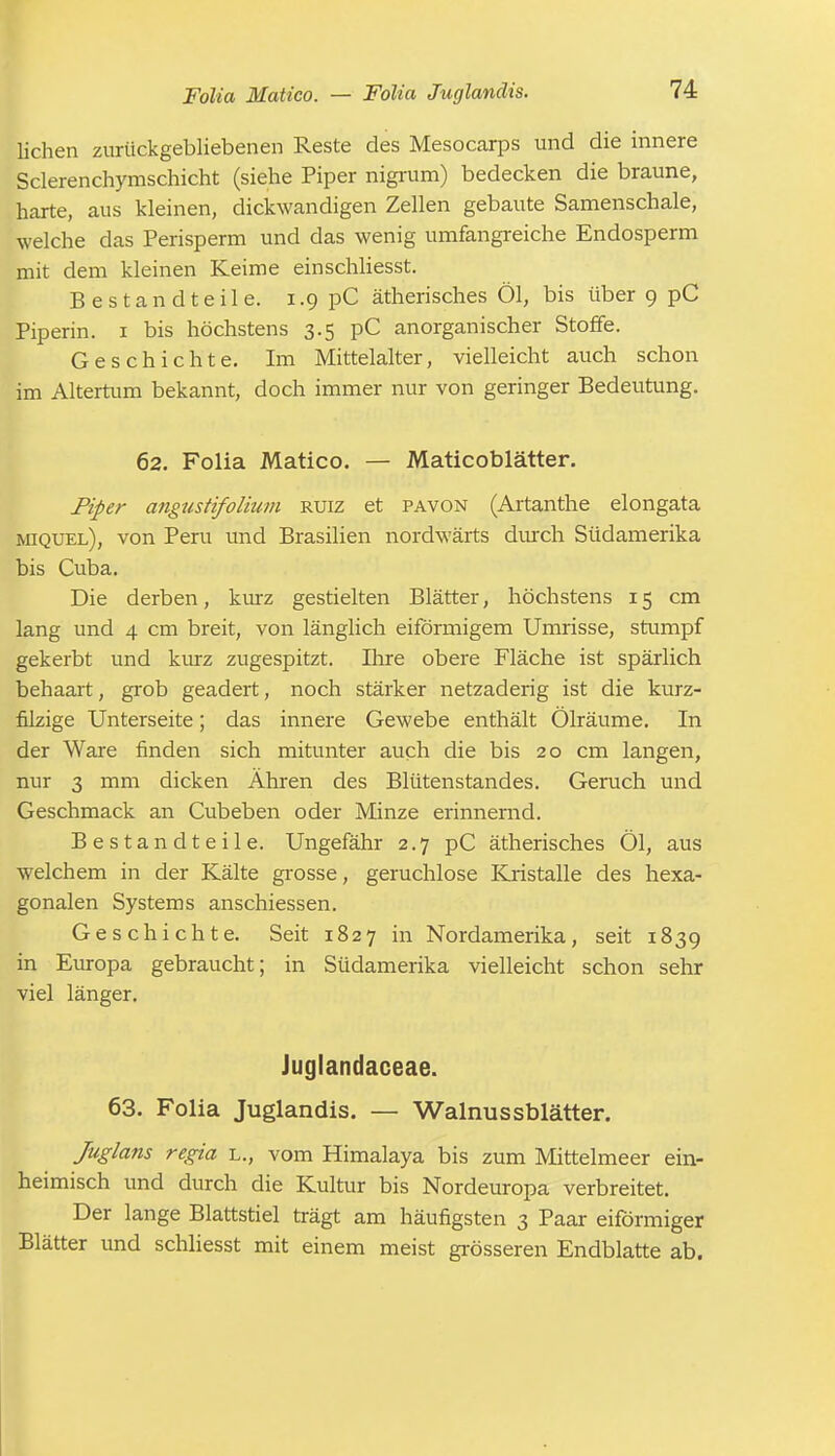 Folia JUatico. — Folia Juglandis. 74 liehen zurückgebliebenen Reste des Mesocarps und die innere Sclerenchymschicht (siehe Piper nigrum) bedecken die braune, harte, aus kleinen, dickwandigen Zellen gebaute Samenschale, welche das Perisperm und das wenig umfangreiche Endosperm mit dem kleinen Keime einschliesst. Bestandteile, i .9 pC ätherisches Öl, bis über 9 pC Piperin. 1 bis höchstens 3.5 pC anorganischer Stoffe. Geschichte. Im Mittelalter, vielleicht auch schon im Altertum bekannt, doch immer nur von geringer Bedeutung. 62. Folia Matico. — Maticoblätter. Piper angustifolium ruiz et pavon (Artanthe elongata miquel), von Peru und Brasilien nordwärts durch Südamerika bis Cuba. Die derben, kurz gestielten Blätter, höchstens 15 cm lang und 4 cm breit, von länglich eiförmigem Umrisse, stumpf gekerbt und kurz zugespitzt. Ihre obere Fläche ist spärlich behaart, grob geädert, noch stärker netzaderig ist die kurz- filzige Unterseite; das innere Gewebe enthält Ölräume. In der Ware finden sich mitunter auch die bis 20 cm langen, nur 3 mm dicken Ähren des Blütenstandes. Geruch und Geschmack an Cubeben oder Minze erinnernd. Bestandteile. Ungefähr 2.7 pC ätherisches Öl, aus welchem in der Kälte grosse, geruchlose Kristalle des hexa- gonalen Systems anschiessen. Geschichte. Seit 1827 in Nordamerika, seit 1839 in Europa gebraucht; in Südamerika vielleicht schon sehr viel länger. Juglandaceae. 63. Folia Juglandis. — Walnussblätter. Juglans regia l., vom Himalaya bis zum Mittelmeer ein- heimisch und durch die Kultur bis Nordeuropa verbreitet. Der lange Blattstiel trägt am häufigsten 3 Paar eiförmiger Blätter und schliesst mit einem meist grösseren Endblatte ab.