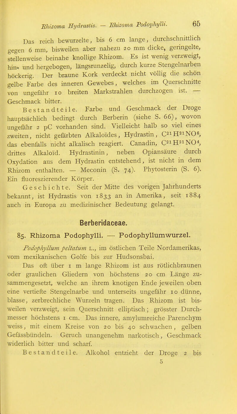 Das reich bewurzelte, bis 6 cm lange, durchschnittlich gegen 6 mm, bisweilen aber nahezu 20 mm dicke, geringelte, stellenweise beinahe knollige Rhizom. Es ist wenig verzweigt, hin- und hergebogen, längsrunzelig, durch kurze Stengelnarben höckerig. Der braune Kork verdeckt nicht völlig die schön gelbe Farbe des inneren Gewebes, welches im Querschnitte von ungefähr 10 breiten Markstrahlen durchzogen ist. — Geschmack bitter. Bestandteile. Farbe und Geschmack der Droge hauptsächlich bedingt durch Berberin (siehe S. 66), wovon ungefähr 2 pC vorhanden sind. Vielleicht halb so viel eines zweiten, nicht gefärbten Alkalo'ides, Hydrastin, C21H21NO<s, das ebenfalls nicht alkalisch reagiert. Canadin, C21H21NO* drittes Alkaloid. Hydrastinin, neben Opiansäure durch Oxydation aus dem Hydrastin entstehend, ist nicht in dem Rhizom enthalten. — Meconin (S. 74). Phytosterin (S. 6). Ein fluoreszierender Körper. Geschichte. Seit der Mitte des vorigen Jahrhunderts bekannt, ist Hydrastis von 1833 an in Amerika, seit 1884 auch in Europa zu medizinischer Bedeutung gelangt. Berberidaceae. 85. Rhizoma Podophylli. — Podophyllumwurzel. Podophyllum peltatum l., im östlichen Teile Nordamerikas, vom mexikanischen Golfe bis zur Hudsonsbai. Das oft über 1 m lange Rhizom ist aus rötlichbraunen oder graulichen Gliedern von höchstens 20 cm Länge zu- sammengesetzt, welche an ihrem knotigen Ende jeweilen oben eine vertiefte Stengelnarbe und unterseits ungefähr 10 dünne, blasse, zerbrechliche Wurzeln tragen. Das Rhizom ist bis- weilen verzweigt, sein Querschnitt elliptisch; grösster Durch- messer höchstens 1 cm. Das innere, amylumreiche Parenchym weiss, mit einem Kreise von 20 bis 40 schwachen, gelben Gefässbündeln. Geruch unangenehm narkotisch, Geschmack widerlich bitter und scharf. Bestandteile. Alkohol entzieht der Droge 2 bis 5