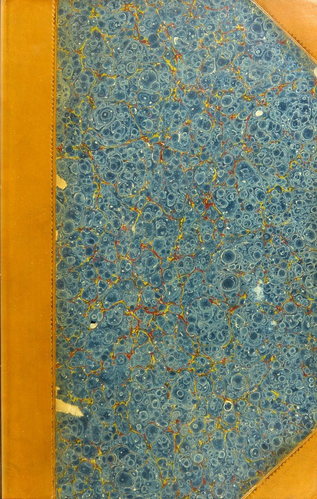 No text description is available for this image