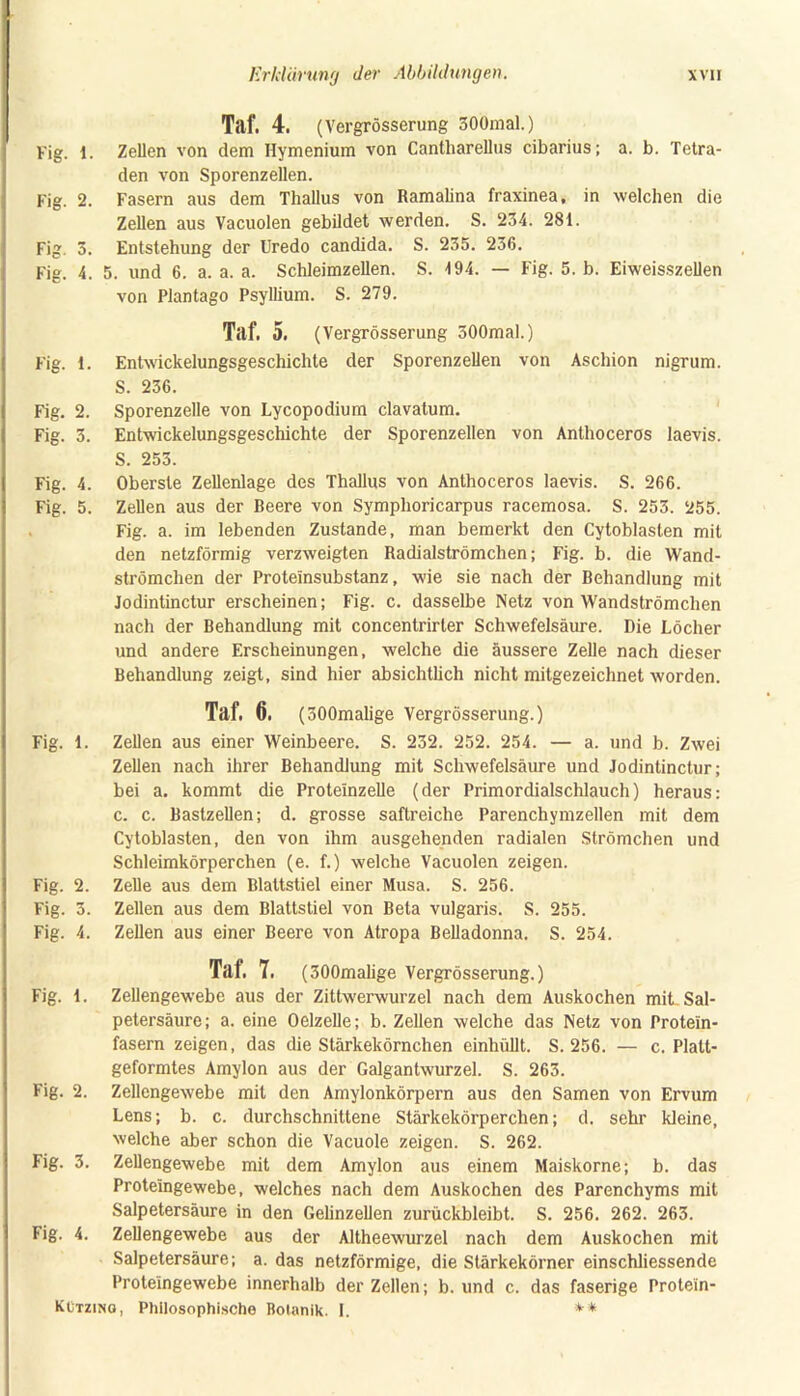 Taf. 4. (Vergrösserung 300mal.) Fig. 1. Zellen von dem Hymenium von Cantliarellus cibarius; a. b. Tetra- den von Sporenzellen. Fig. 2. Fasern aus dem Thallus von Ramalina fraxinea, in welchen die Zellen aus Vacuolen gebildet werden. S. 234. 281. Fig. 3. Entstehung der Uredo candida. S. 235. 236. Fig. 4. 5. und 6. a. a. a. Schleimzellen. S. 194. — Fig. 5. b. Eiweisszellen von Plantago Psyllium. S. 279. Taf. 5. (Vergrösserung 500mal.) Fig. 1. Entwickelungsgeschichte der Sporenzellen von Aschion nigrum. S. 236. Fig. 2. Sporenzelle von Lycopodium clavatum. Fig. 3. Entwickelungsgeschichte der Sporenzellen von Anthoceros laevis. S. 253. Fig. 4. Oberste Zellenlage des Thallus von Anthoceros laevis. S. 266. Fig. 5. Zellen aus der Beere von Symplioricarpus racemosa. S. 253. 255. Fig. a. im lebenden Zustande, man bemerkt den Cytoblasten mit den netzförmig verzweigten Radialströmchen; Fig. b. die Wand- strömchen der Proteinsubstanz, wie sie nach der Behandlung mit Jodintinctur erscheinen; Fig. c. dasselbe Netz von Wandströmchen nach der Behandlung mit concentrirter Schwefelsäure. Die Löcher und andere Erscheinungen, welche die äussere Zelle nach dieser Behandlung zeigt, sind hier absichtlich nicht mitgezeichnet worden. Taf. 6. (300malige Vergrösserung.) Fig. 1. Zellen aus einer Weinbeere. S. 232. 252. 254. — a. und b. Zwei Zellen nach ihrer Behandlung mit Schwefelsäure und Jodintinctur; bei a. kommt die Proteinzelle (der Primordialschlauch) heraus: c. c. Baslzellen; d. grosse saftreiche Parenchymzellen mit dem Cytoblasten, den von ihm ausgehenden radialen Strömchen und Schleimkörperchen (e. f.) welche Vacuolen zeigen. Fig. 2. Zelle aus dem Blattstiel einer Musa. S. 256. Fig. 3. Zellen aus dem Blattstiel von Beta vulgaris. S. 255. Fig. 4. Zellen aus einer Beere von Atropa Belladonna. S. 254. Tal. 7. (300malige Vergrösserung.) Fig. 1. Zellengewebe aus der Zittwerwurzel nach dem Auskochen mit Sal- petersäure; a. eine Oelzelle; b. Zellen welche das Netz von Protein- fasern zeigen, das die Stärkekörnchen einhüllt. S. 256. — c. Platt- geformtes Amylon aus der Galgantwurzel. S. 263. Fig. 2. Zellengewebe mit den Amylonkörpern aus den Samen von Ervum Lens; b. c. durchschnittene Stärkekörperchen; d. sehr kleine, welche aber schon die Vacuole zeigen. S. 262. Fig. 3. Zellengewebe mit dem Amylon aus einem Maiskorne; b. das Prote'ingewebe, welches nach dem Auskochen des Parenchyms mit Salpetersäure in den Gelinzellen zurückbleibt. S. 256. 262. 263. fig. 4. Zellengewebe aus der Altheewurzel nach dem Auskochen mit Salpetersäure; a. das netzförmige, die Stärkekörner einschliessende Prote'ingewebe innerhalb der Zellen; b. und c. das faserige Prolein- Kützino, Philosophische Botanik. 1. **