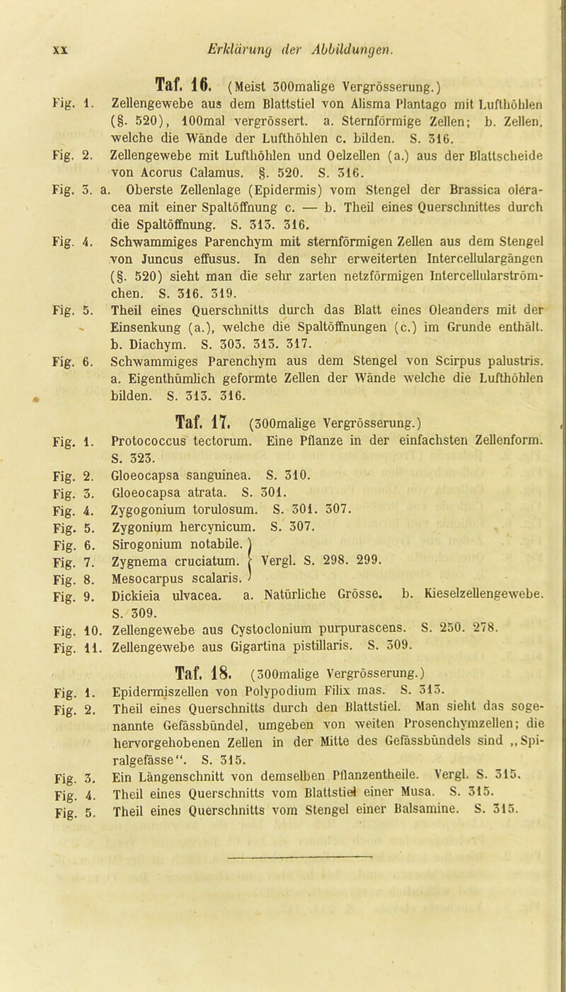 Taf. 16. (Meist 300malige Vergrösserung.) Fig. 1. Zellengewebe aus dem Blattstiel von Alisma Plantago mit Lufthöblen (§. 520), lOOmal vergrössert. a. Sternförmige Zellen; b. Zellen, welche die Wände der Lufthöhlen c. bilden. S. 316. Fig. 2. Zellengewebe mit Lufthöhlen und Oelzellen (a.) aus der Blattscheide von Acorus Calamus. §. 520. S. 316. Fig. 5. a. Oberste Zellenlage (Epidermis) vom Stengel der Brassica olera- cea mit einer Spaltöffnung c. — b. Theil eines Querschnittes durch die Spaltöffnung. S. 313. 316. Fig. 4. Schwammiges Parenchym mit sternförmigen Zellen aus dem Stengel von Juncus effusus. In den sehr erweiterten Intercellulargängen (§. 520) sieht man die sehr zarten netzförmigen Intercellularström- chen. S. 316. 319. Fig. 5. Theil eines Querschnitts durch das Blatt eines Oleanders mit der - Einsenkung (a.), welche die Spaltöffnungen (c.) im Grunde enthält, b. Diachym. S. 303. 313. 317. Fig. 6. Schwammiges Parenchym aus dem Stengel von Scirpus palustris, a. Eigenthümlich geformte Zellen der Wände welche die Lufthöhlen bilden. S. 313. 316. Taf. 17. (300maüge Vergrösserung.) Fig. 1. Protococcus tectorum. Eine Pflanze in der einfachsten Zellenform. S. 323. Fig. 2. Gloeocapsa sanguinea. S. 310. Fig. 3. Gloeocapsa atrata. S. 301. Fig. 4. Zygogonium torulosum. S. 501. 307. Fig. 5. Zygonium hercynicum. S. 307. Fig. 6. Sirogonium notabile.) Fig. 7. Zygnema cruciatum. | Vergl. S. 298. 299. Fig. 8. Mesocarpus scalaris. ’ Fig. 9. Dickieia ulvacea. a. Natürliche Grösse, b. Kieselzellengewebe. S. 309. Fig. 10. Zellengewebe aus Cystoclonium purpurascens. S. 250. 278. Fig. 11. Zellengewebe aus Gigartina pistillaris. S. 309. Taf. 18. (300malige Vergrösserung.) Fig. 1. Epidermiszellen von Polypodium Filix mas. S. 313. Fig. 2. Theil eines Querschnitts durch den Blattstiel. Man sieht das soge- nannte Gefässbündel, umgeben von weiten Prosencliymzellen; die hervorgehobenen Zellen in der Mitte des Gefässbündels sind „Spi- ralgefässe“. S. 315. Fig. 3. Ein Längenschnitt von demselben Ptlanzentheile. Vergl. S. 315. Fig. 4. Theil eines Querschnitts vom Blattstiel einer Musa. S. 315. Fig. 5. Theil eines Querschnitts vom Stengel einer Balsamine. S. 315.