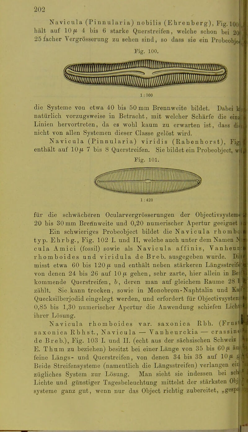 Navicula (Pinn ularia) nobilis (Ehrenberg), Fig. 100 hält auf 10/i 4 bis 6 starke Querstreifen, welche schon bei 20 25i'acher Vergrösserung zu sehen sind, so dass sie ein Probeobje Fig. 100. 1 : 300 die Systeme von etwa 40 bis 50 mm Brennweite bildet. Dabei natürlich vorzugsweise in Betracht, mit welcher Schärfe die eins Linien hervortreten, da es wohl kaum zu erwarten ist, dass di I nicht von allen Systemen dieser Classe gelöst wird. Navicula (Pinnularia) viridis (Rabenhorst), FigJ ält auf 10 ft 7 bis 8 Querstreifen. Sie bildet ein Probeobject, wl Fig. 101. enthält 1: 420 für die schwächeren Ocularvergrösserungen der ObjectivsystemJl 20 bis 30 mm Brennweite und 0,20 numerischer Apertur geeignet ■ Ein schwieriges Probeobject bildet die Navicula rhomb« typ. Ehrbg., Fig. 102 I. und II, welche auch unter dem Namen 1« cula Amici (fossil) sowie als Navicula affinis, Vanheunii rhomboides und viridula de Breb. ausgegeben wurde. Dil misst etwa 60 bis 120 fi und enthält neben stärkeren Längsstreif* von denen 24 bis 26 auf 10fi gehen, sehr zarte, hier allein in Bei: kommende Querstreifen, b, deren man auf gleichem Baume 28 f zählt. Sie kann trocken, sowie in Monobrom-Naphtalin und Ka Quecksilberjodid eingelegt werden, und erfordert für Objectivsystei 0,85 bis 1,30 numerischer Apertur die Anwendung schiefen Lieh ihrer Lösung. Navicula rhomboides var. saxonica Rbh. (Frus saxonica Rbhst., Navicula — Vanheurckia — crassinJl de Breb.), Fig. 103 I. und II. (echt aus der sächsischen Schweiz I E. Thum zu beziehen) besitzt bei einer Länge von 35 bis 60ft äuji feine Längs- und Querstreifen, von denen 34 bis 35 auf 10ft { Beide Streifensysteme (namentlich die Längsstreifen) verlangen en zügliches System zur Lösung. Man sieht sie indessen bei sei Lichte und günstiger Tagesbeleuchtuug mittelst der stärksten Onj Systeme ganz gut, wenn nur das Object richtig zubereitet, „gespi