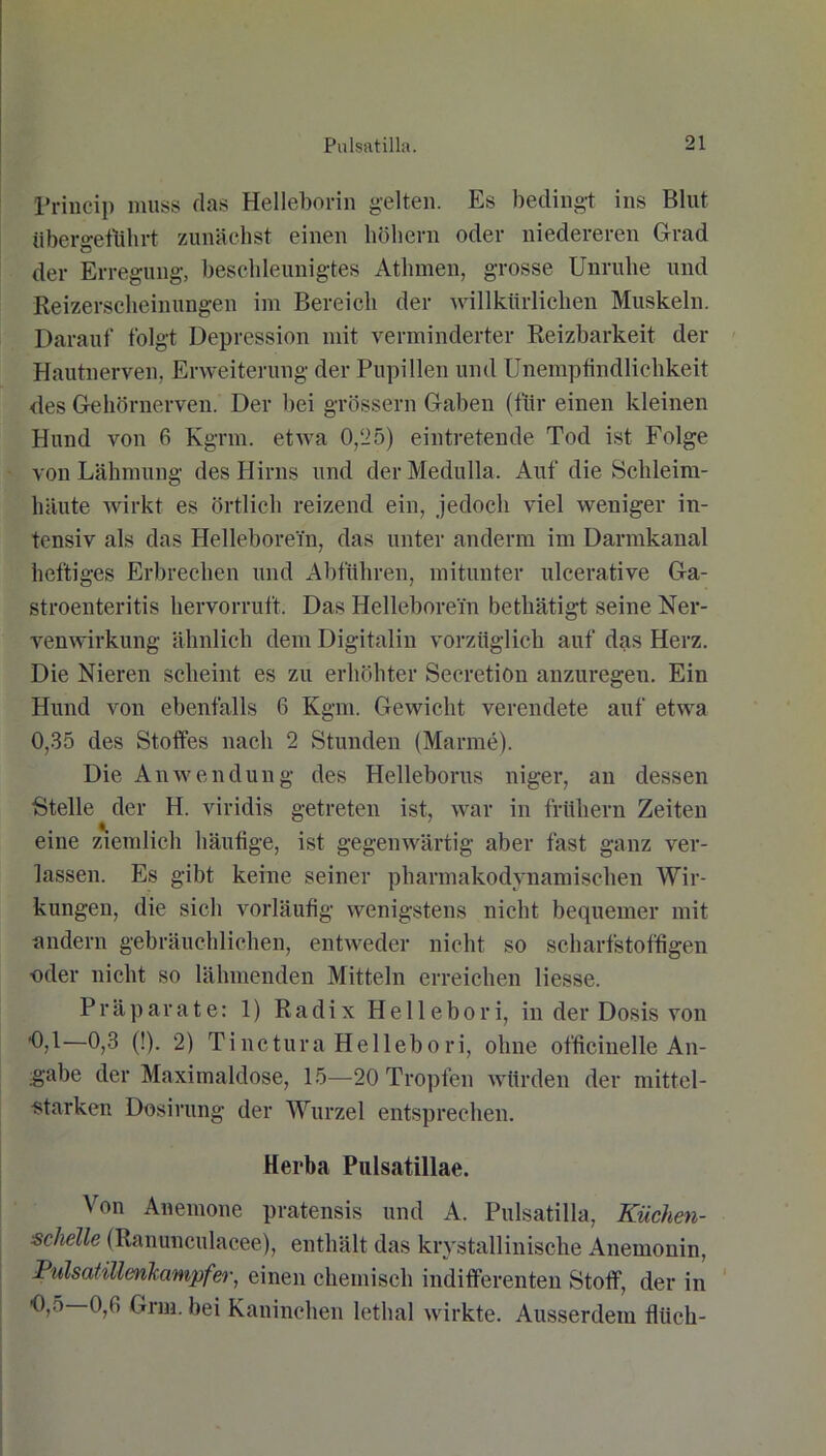 Princip muss das Helleborin gelten. Es bedingt ins Blut übergetlihrt zunächst einen höhern oder niedereren Grad der Erregung, beschleunigtes Athmen, grosse Unruhe und Reizerscheinungen im Bereich der willkürlichen Muskeln. Darauf folgt Depression mit verminderter Reizbarkeit der Hautnerven, Erweiterung der Pupillen und Unempfindlichkeit des Gehörnerven. Der bei grossem Gaben (für einen kleinen Hund von 6 Kgrm. etwa 0,25) eintretende Tod ist Folge von Lähmung des Hirns und derMedulla. Auf die Schleim- häute wirkt es örtlich reizend ein, jedoch viel weniger in- tensiv als das Hellebore'm, das unter anderm im Darmkanal heftiges Erbrechen und Abführen, mitunter ulcerative Ga- stroenteritis hervorruft. Das Hellebore'm bethätigt seine Ner- venWirkung ähnlich dem Digitalin vorzüglich auf das Herz. Die Nieren scheint es zu erhöhter Secretiön anzuregen. Ein Hund von ebenfalls 6 Kgm. Gewicht verendete auf etwa 0,35 des Stoffes nach 2 Stunden (Manne). Die Anwendung des Helleborus niger, an dessen Stelle der H. viridis getreten ist, war in frühem Zeiten eine ziemlich häufige, ist gegenwärtig aber fast ganz ver- lassen. Es gibt keine seiner pharmakodynamischen Wir- kungen, die sich vorläufig wenigstens nicht bequemer mit andern gebräuchlichen, entweder nicht so scharfstoffigen oder nicht so lähmenden Mitteln erreichen Hesse. Präparate: 1) Radix Hellebori, in der Dosis von '0,1—0,3 (!). 2) Tinctura Hellebori, ohne officinelle An- gabe der Maximaldose, 15—20 Tropfen würden der mittel- starken Dosirung der Wurzel entsprechen. Herba Pulsatillae. Von Anemone pratensis und A. Pulsatilla, Küchen- schelle (Ranunculacee), enthält das kristallinische Anemonin, Pulsatillenkampfer, einen chemisch indifferenten Stoff, der in 0,5 0,fi Grm. bei Kaninchen lethal wirkte. Ausserdem fliich-