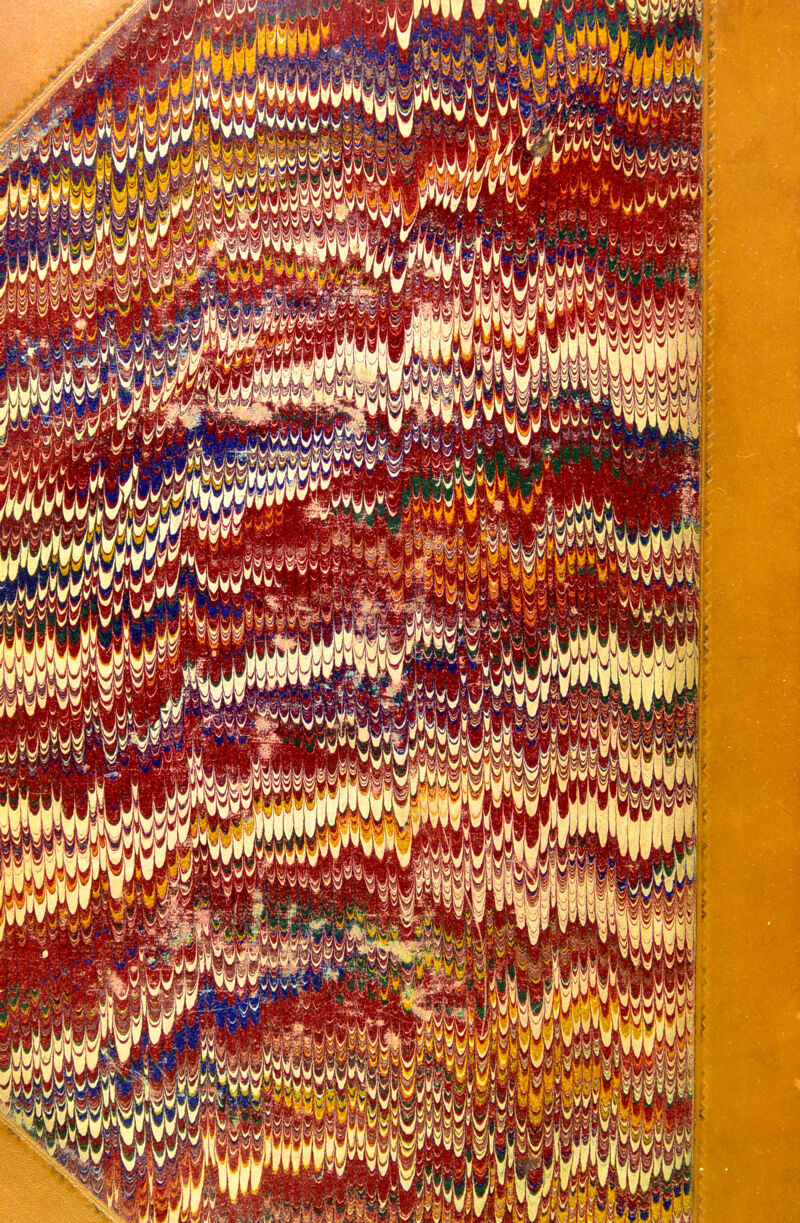 No text description is available for this image