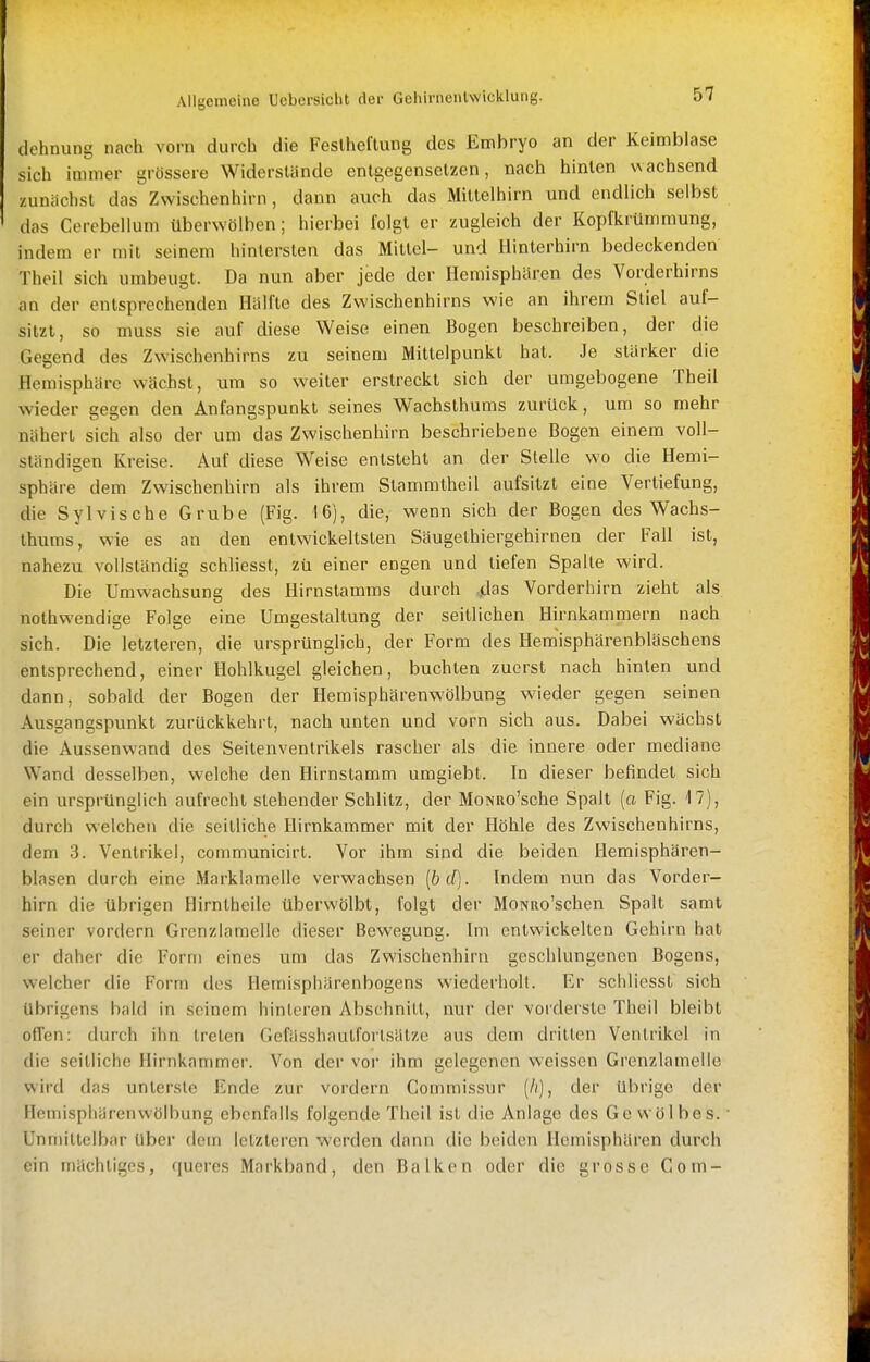 dehnung nach vorn durch die Feslhellung des Embryo an der Keimblase sich immer grössere Widerslände entgegensetzen, nach hinten wachsend zunächst das Zwischenhirn, dann auch das Mittelhirn und endlich selbst das Cerebellum überwölben; hierbei folgt er zugleich der Kopfkrümmung, indem er mit seinem hintersten das Mittel- und Hinterhirn bedeckenden Theil sich umbeugt. Da nun aber jede der Hemisphären des Vorderhirns an der entsprechenden Hälfte des Zwischenhirns wie an ihrem Stiel auf- sitzt, so muss sie auf diese Weise einen Bogen beschreiben, der die Gegend des Zwischenhirns zu seinem Mittelpunkt hat. Je stärker die Hemisphäre wächst, um so weiter erstreckt sich der umgebogene Theil wieder gegen den Anfangspunkt seines Wachsthums zurück, um so mehr nähert sich also der um das Zwischenhirn beschriebene Bogen einem voll- ständigen Kreise. Auf diese Weise entsteht an der Stelle wo die Hemi- sphäre dem Zwischenhirn als ihrem Stammtheil aufsitzt eine Vertiefung, die Sylvische Grube (Fig. 16), die, wenn sich der Bogen des Wachs- thums, wie es an den entwickeltsten Säugethiergehirnen der Fall ist, nahezu vollständig schliesst, zu einer engen und tiefen Spalte wird. Die Umwachsung des Hirnstamras durch ,das Vorderhirn zieht als nothwendige Folge eine Umgestaltung der seitlichen Hirnkammern nach sich. Die letzteren, die ursprünglich, der Form des Hemisphärenbläschens entsprechend, einer Hohlkugel gleichen, buchten zuerst nach hinten und dann, sobald der Bogen der Hemisphärenwölbung wieder gegen seinen Ausgangspunkt zurückkehrt, nach unten und vorn sich aus. Dabei wächst die Aussenwand des Seitenvenlrikels rascher als die innere oder mediane Wand desselben, welche den Hirnslamm umgiebt. In dieser befindet sich ein ursprünglich aufrecht stehender Schlitz, der MoNRo'sche Spalt (a Fig. 17), durch welchen die seitliche Hirnkammer mit der Höhle des Zwischenhirns, dem 3. Ventrikel, communicirt. Vor ihm sind die beiden Hemisphären- blasen durch eine Marklamelle verwachsen [bd). Indem nun das Vorder- hirn die übrigen Hirnlheile überwölbt, folgt der MoNRo'schen Spalt samt seiner vordem Grenzlamelle dieser Bewegung. Im entwickelten Gehirn hat er daher die Form eines um das Zwischenhirn geschlungenen Bogens, welcher die Form des Hemisphärenbogens wiederholt. Er schliesst sich übrigens bald in seinem hinleren Abschnitt, nur der vorderste Theil bleibt offen: durch ihn treten Gefässhautforlsätze aus dem dritten Ventrikel in die seitliche Hirnkammer. Von dei' vor ihm gelegenen weissen Grenzlamelle wird das unterste Ende zur vordem Commissur [h], der übrige der Hemisphärenwölbung ebenfalls folgende Theil ist die Anlage des Gewölbes. Unmittelbar über dem letzteren werden dann die beiden Hemisphären durch ein mächtiges, queres Markband, den Balken oder die grosse Com-