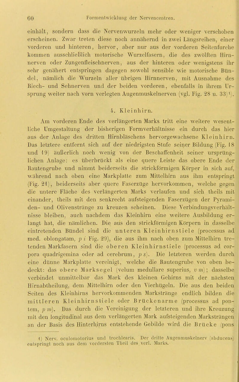 einhält, sondern dass die Nervenwurzeln mehr oder weniger verschoben erscheinen. Zwar treten diese noch annähernd in zwei Längsreihen, einer vorderen und hinteren, hervor, aber nur aus der vorderen Seitenfurche kommen ausschließlich motorische Wurzelfasern, die des zwölften Hirn- nerven oder Zungenfleischnerven, aus der hinteren oder wenigstens ihr sehr genähert entspringen dagegen sowohl sensible wie motorische Bün- del, nämlich die Wurzeln aller übrigen Hirnnerven, mit Ausnahme des Riech- und Sehnerven und der beiden vorderen, ebenfalls in ihrem Ur- sprung weiter nach vorn verlegten Augenmuskelnerven (vgl. Fig. 28 u. 33 * . 4. Kleinhirn. Am vorderen Ende des verlängerten Marks tritt eine weitere wesent- liche Umgestaltung der bisherigen Formverhältnisse ein durch das hier aus der Anlage des dritten Hirnbläschens hervorgewachsene Kleinhirn. Das letztere entfernt sich auf der niedrigsten Stufe seiner Bildung (Fig. 1 8 und 19) äußerlich noch wenig von der Beschaffenheit seiner ursprüng- lichen Anlage: es überbrückt als eine quere Leiste das obere Ende der Rautengrube und nimmt beiderseits die strickförmigen Körper in sich auf, während nach oben eine Markplatte zum Mittelhirn aus ihm entspringt (Fig. 21), beiderseits aber quere Faserzüge hervorkommen, welche gegen die untere Fläche des verlängerten Marks verlaufen und sich theils mit einander, theils mit den senkrecht aufsteigenden Faserzügen der Pyrami- den- und Olivenstränge zu kreuzen scheinen. Diese Verbindungsverhält- nisse bleiben, auch nachdem das Kleinhirn eine weitere Ausbildung er- langt hat, die nämlichen. Die aus den slrickförmigen Körpern in dasselbe eintretenden Bündel sind die unteren Kleinhirn stiele (processus ad med. oblongatam, p i Fig. 29), die aus ihm nach oben zum Mittelhirn tre- tenden Markfasern sind die oberen Kleinhirnstiele (processus ad Cor- pora quadrigemina oder ad cerebrum, p s). Die letzteren werden durch eine dünne Markplatte vereinigt, welche die Rautengrube von oben be- deckt: das obere Marksegel (velum medulläre superius, vin); dasselbe verbindet unmittelbar das Mark des kleinen Gehirns mit der nächsten Ilirnabtheilung, dem Mittelhirn oder den Vierhügeln. Die aus den beiden Seiten des Kleinhirns hervorkommenden Markstränge endlich bilden die mittleren Kleinhirn stiele oder Brücken arme (processus ad pon- tem, p m). Das durch die Vereinigung der letzteren und ihre Kreuzung mit den longitudinal aus dem verlängerten Mark aufsteigenden Marksträngen an der Basis des Hinterhirns entstehende Gebilde wird die Brücke (pons 1) Nerv, oculomolorius und trochlearis. Der dritte Augenmuskelnerv (abducens) entspringt noch aus dem vordersten Tlieil des vcrl. Marks.