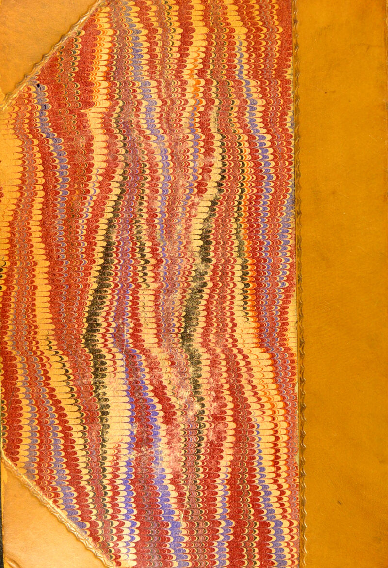 >y; •\)f >3 O' Yj m o> »; > »; §