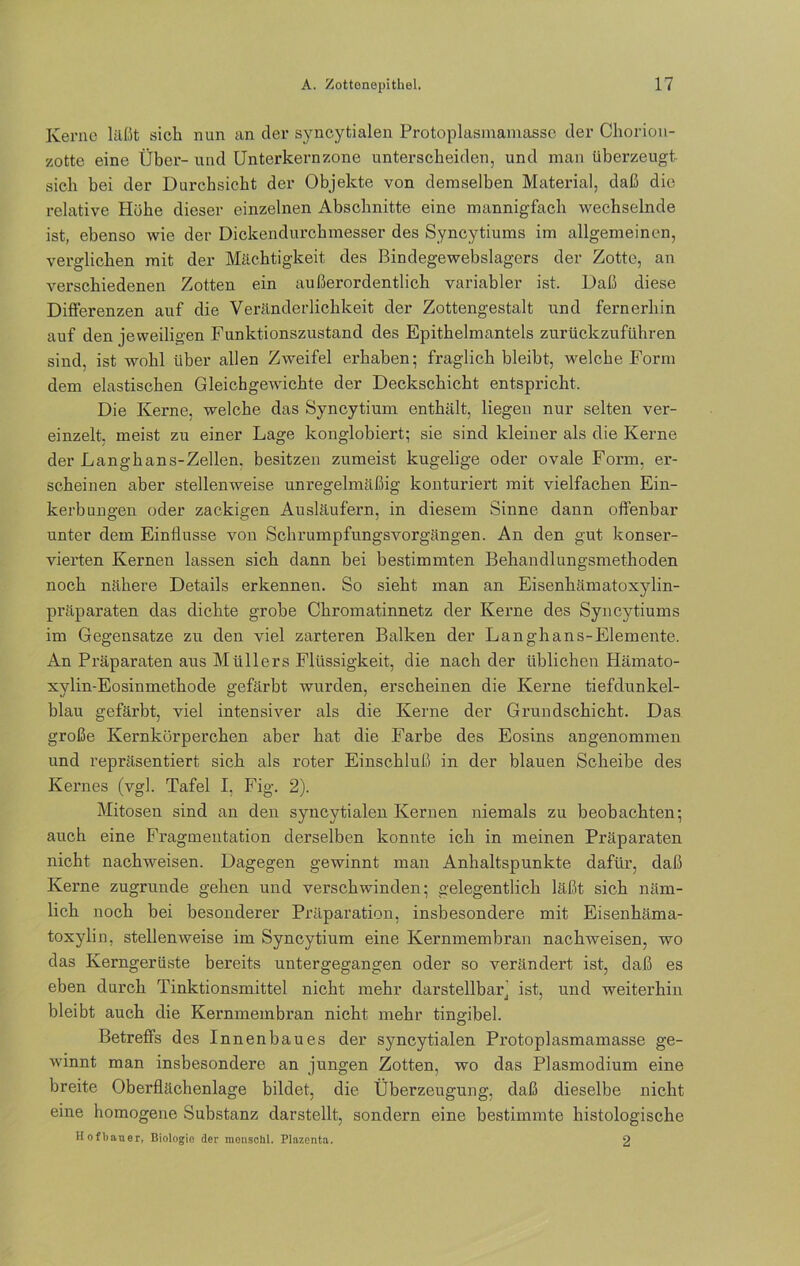 Kerne läßt sich nun an der syncytialen Protoplasmamasse der Choriou- zotte eine Über- und Unterkernzone unterscheiden, und man überzeugt sich bei der Durchsicht der Objekte von demselben Material, daß die relative Höhe dieser einzelnen Abschnitte eine mannigfach wechselnde ist, ebenso wie der Dickendurchmesser des Syncytiums im allgemeinen, verglichen mit der Mächtigkeit des Bindegewebslagers der Zotte, an verschiedenen Zotten ein außerordentlich variabler ist. Daß diese Differenzen auf die Veränderlichkeit der Zottengestalt itnd fernerhin auf den jeweiligen Funktionszustand des Epithelmantels zurückzuführen sind, ist wohl über allen Zweifel erhaben; fraglich bleibt, welche Form dem elastischen Gleichgewichte der Deckschicht entspricht. Die Kerne, welche das Syncytium enthält, liegen nur selten ver- einzelt. meist zu einer Lage konglobiert; sie sind kleiner als die Kerne der Langhans-Zellen. besitzen zumeist kugelige oder ovale Form, er- scheinen aber stellenweise unregelmäßig konturiert mit vielfachen Ein- kerbungen oder zackigen Ausläufern, in diesem Sinne dann offenbar unter dem Einflüsse von Schrumpfungsvorgängen. An den gut konser- vierten Kernen lassen sich dann bei bestimmten Behandlungsmethoden noch nähere Details erkennen. So sieht man an Eisenhämatoxylin- präparaten das dichte grobe Chromatinnetz der Kerne des Syncjffiums im Gegensätze zu den viel zarteren Balken der Langhans-Elemente. An Präparaten aus Müllers Flüssigkeit, die nach der üblichen Hämato- xylin-Eosinmethode gefärbt wurden, erscheinen die Kerne tiefdunkel- blau gefärbt, viel intensiver als die Kerne der Grundschicht. Das große Kernkörperchen aber hat die Farbe des Eosins angenommen und repräsentiert sich als roter Einschluß in der blauen Scheibe des Kernes (vgl. Tafel I, Fig. 2). Mitosen sind an den syncytialen Kernen niemals zu beobachten; auch eine Fragmentation derselben konnte ich in meinen Präparaten nicht nachweisen. Dagegen gewinnt man Anhaltspunkte dafür, daß Kerne zugrunde gehen und verschwinden; gelegentlich läßt sich näm- lich noch bei besonderer Präparation, insbesondere mit Eisenhäma- toxylin, stellenweise im Syncytium eine Kernmembran nachweisen, wo das Kerngerüste bereits untergegangen oder so verändert ist, daß es eben durch Tinktionsmittel nicht mehr darstellbar] ist, und weiterhin bleibt auch die Kernmembran nicht mehr tingibel. Betreffs des Innenbaues der syncytialen Protoplasmamasse ge- winnt man insbesondere an jungen Zotten, wo das Plasmodium eine breite Oberflächenlage bildet, die Überzeugung, daß dieselbe nicht eine homogene Substanz darstellt, sondern eine bestimmte histologische Hofbauer, Biologie der mensohl. Plazenta. 2