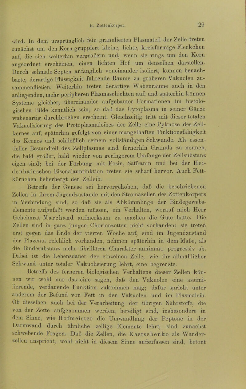 wird. In dem ursprünglich fein granulierten Plasmateil der Zelle treten zunächst um den Kern gruppiert kleine, lichte, kreisförmige Fleckchen auf, die sich weiterhin vergrößern und, wenn sie rings um den Kern ano-eordnet erscheinen, einen lichten Hof um denselben darstellen. Durch schmale Septen anfänglich voneinander isoliert, können benach- barte, derartige Flüssigkeit führende Räume zu größeren Vakuolen zu- sammenfließen. Weiterhin treten derartige Wabenräume auch in den anliegenden, mehr peripheren Plasmaschichten auf, und späterhin können Systeme gleicher, übereinander aufgebauter Formationen im histolo- gischen Bilde kenntlich sein, so daß das Cytoplasma in seiner Gänze wabenartig durchbrochen erscheint. Gleichzeitig tritt mit dieser totalen Vakuolisierung des Protoplasmaleibes der Zelle eine Pyknose des Zell- kernes auf, späterhin gefolgt von einer mangelhaften Tinktionsfähigkeit des Kernes und schließlich seinem vollständigen Schwunde. Als essen- tieller Bestandteil des Zellplasmas sind fernerhin Granula zu nennen, die bald größer, bald wieder von geringerem Umfange der Zellsubstanz eigen sind; bei der Färbung mit Eosin, Saffranin und bei der Hei- den hainsehen Eisenalauntinktion treten sie scharf hervor. Auch Fett- körnchen beherbergt der Zelleib. Betreffs der Genese sei hervorgehoben, daß die beschriebenen Zellen in ihrem Jugendzustande mit den Stromazellen des Zottenkörpers in A'erbindung sind, so daß sie als Abkömmlinge der Bindegewebs- elemente aufgefaßt werden müssen, ein Verhalten, worauf mich Herr Geheimrat Marchand aufmerksam zu machen die Güte hatte. Die Zellen sind in ganz jungen Chorionzotten nicht vorhanden; sie treten erst gegen das Ende der vierten Woche auf, sind im Jugendzustand der Plazenta reichlich vorhanden, nehmen späterhin in dem Maße, als die Bindesubstanz mehr fibrillären Charakter annimmt, progressiv ab. Dabei ist die Lebensdauer der einzelnen Zelle, wie ihr allmählicher Schwund unter totaler Vakuolisierung lehrt, eine begrenzte. Betreffs des ferneren biologischen Verhaltens dieser Zellen kön- nen wir wohl nur das eine sagen, daß den Vakuolen eine assimi- lierende, verdauende Funktion zukommen mag; dafür spricht unter anderem der Befund von Fett in den Vakuolen und im Plasmaleib. Ob dieselben auch bei der Verarbeitung der übrigen Nährstoffe, die von der Zotte aufgenommen werden, beteiligt sind, insbesondere in dem Sinne, wie Hofmeister die Umwandlung der Peptone in der Darmwand durch ähnliche zellige Elemente lehrt, sind zunächst schwebende Fragen. Daß die Zellen, die Kastsclienko als Wander- zellen anspricht, wohl nicht in diesem Sinne aufzufassen sind, betont