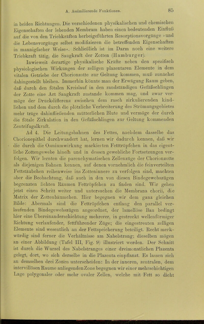 in beiden Richtungen. Die verschiedenen physikalischen und chemische]) Eigenschaften der lebenden Membram haben einen bedeutenden Einfluß auf die von den Triebkräften herbeigeführten Resorptionsvorgänge »und die Lebensvorgänge selbst modifizieren die betreffenden Eigenschaften in mannigfacher Weise«. Schließlich ist im Darm noch eine weitere Triebkraft tätig, die Saugkraft der Zotten (Hamburger). Inwieweit derartige physikalische Kräfte neben den spezifisch physiologischen Wirkungen der zelligcn plazentaren Elemente in dem vitalen Getriebe der Chorionzotte zur Geltung kommen, muß zunächst dahingestellt bleiben. Immerhin könnte man der Erwägung Raum geben, daß durch den fötalen Kreislauf in den randständigen Gefäßschlingen der Zotte eine Art Saugkraft zustande kommen mag, und zwar ver- möge der Druckdifferenz zwischen dem rasch zirkulierenden kind- lichen und dem durch die plötzliche Verbreiterung des Strömungsgebietes mehr träge dahinfließenden mütterlichen Blute und vermöge der durch die fötale Zirkulation in den Gefäßschlingen zur Geltung kommenden Zentrifugalkraft. Ad 4. Die Leitungsbahnen des Fettes, nachdem dasselbe das Chorionepithel durchwandert hat, lernen wir dadurch kennen, daß wir die durch die Osmiumwirkung' markierten Fetttröpfchen in das eigent- liche Zottengewebe hineih und in dessen gewebliche Fortsetzungen ver- folgen. Wir lernten die parenchymatischen Zellenzüge der Chorionzotte als diejenigen Bahnen kennen, auf denen vornehmlich die feinverteilten Fettstäubchen reihenweise ins Zotteninnere zu verfolgen sind, machten aber die Beobachtung, daß auch in den von diesen Bindegewebszügen begrenzten lichten Räumen Fettröpfchen zu finden sind. Wir gehen jetzt einen Schritt weiter und untersuchen die Membrana chorii, die Matrix der Zottenbäumchen. Hier begegnen wir dem ganz gleichen Bilde: Abermals sind die Fettröpfchen entlang den parallel ver- laufenden Bindegewebszügen angeordnet, der lamellüse Bau bedingt hier eine Übereinanderschichtung mehrerer, in gestreckt wellenförmiger Richtung verlaufender, fettführender Züge; die eingestreuten zelligen Elemente sind wesentlich an der Fettspeicherung beteiligt. Recht merk- würdig sind ferner die Verhältnisse am Nabelstrang: dieselben mögen an einer Abbildung (Tafel III, Fig. 9) illustriert werden. Der Schnitt ist durch die Wurzel des Nabelstranges einer dreimonatlichen Plazenta gelegt, dort, wo sich derselbe in die Plazenta einpflanzt. Es lassen sich an demselben drei Zonen unterscheiden: In der inneren, zentralen, dem intervillösen Raume anliegenden Zone begegnen wir einer mehrschichtigen Lage polygonaler oder mehr ovaler Zellen, welche mit Fett so dicht