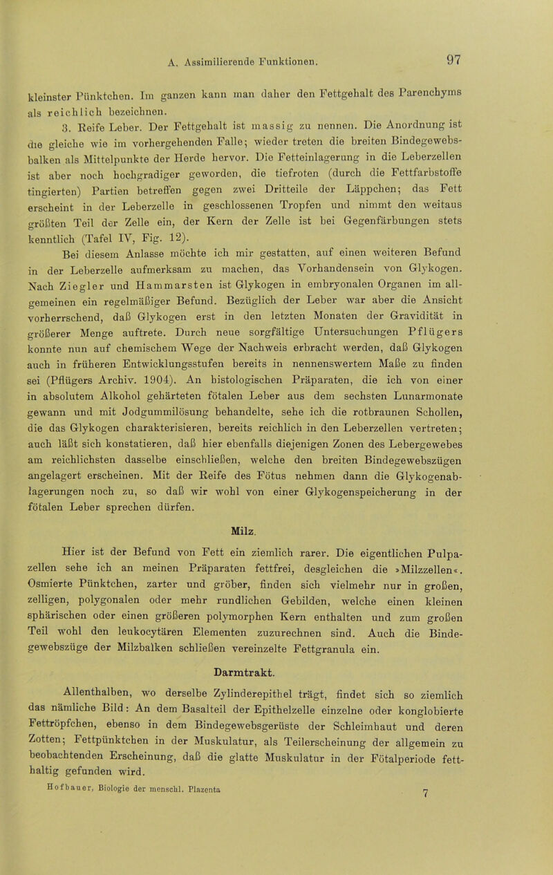 kleinster Pünktchen. Im ganzen kann man daher den Fettgehalt des Parenchyms als reichlich bezeichnen. 3. Reife Leber. Der Fettgehalt ist massig zu nennen. Die Anordnung ist die gleiche wie im vorhergehenden Falle; wieder treten die breiten Bindegewebs- balken als Mittelpunkte der Herde hervor. Die Fetteinlagerung in die Leberzellen ist aber noch hochgradiger geworden, die tiefroten (durch die Fettfarbstoffe fingierten) Partien betreffen gegen zwei Dritteile der Läppchen; das Fett erscheint in der Leberzelle in geschlossenen Tropfen und nimmt den weitaus größten Teil der Zelle ein, der Kern der Zelle ist bei Gegenfärbungen stets kenntlich (Tafel IV, Fig. 12). Bei diesem Anlasse möchte ich mir gestatten, auf einen weiteren Befund in der Leberzelle aufmerksam zu machen, das Vorhandensein von Glykogen. Nach Ziegler und Hammarsten ist Glykogen in embryonalen Organen im all- gemeinen ein regelmäßiger Befund. Bezüglich der Leber war aber die Ansicht vorherrschend, daß Glykogen erst in den letzten Monaten der Gravidität in größerer Menge auftrete. Durch neue sorgfältige Untersuchungen Pflügers konnte nun auf chemischem Wege der Nachweis erbracht werden, daß Glykogen auch in früheren Entwicklungsstufen bereits in nennenswertem Maße zu finden sei (Pflügers Archiv. 1904). An histologischen Präparaten, die ich von einer in absolutem Alkohol gehärteten fötalen Leber aus dem sechsten Lunarmonate gewann und mit Jodgummilösung behandelte, sehe ich die rotbraunen Schollen, die das Glykogen charakterisieren, bereits reichlich in den Leberzellen vertreten; auch läßt sich konstatieren, daß hier ebenfalls diejenigen Zonen des Lebergewebes am reichlichsten dasselbe einschließen, welche den breiten Bindegewebszügen angelagert erscheinen. Mit der Reife des Fötus nehmen dann die Glykogenab- lagerungen noch zu, so daß wir wohl von einer Glykogenspeicherung in der fötalen Leber sprechen dürfen. Milz. Hier ist der Befund von Fett ein ziemlich rarer. Die eigentlichen Pulpa- zellen sehe ich an meinen Präparaten fettfrei, desgleichen die * Milzzellen«. Osmierte Pünktchen, zarter und gröber, finden sich vielmehr nur in großen, zelligen, polygonalen oder mehr rundlichen Gebilden, welche einen kleinen sphärischen oder einen größeren polymorphen Kern enthalten und zum großen Teil wohl den leukocytären Elementen zuzurechnen sind. Auch die Binde- gewebszüge der Milzbalken schließen vereinzelte Fettgranula ein. Darmtrakt. Allenthalben, wo derselbe Zylinderepithel trägt, findet sich so ziemlich das nämliche Bild: An dem Basalteil der Epithelzelle einzelne oder konglobierte Fettröpfchen, ebenso in dem Bindegewebsgerüste der Schleimhaut und deren Zotten; Fettpünktchen in der Muskulatur, als Teilerscheinung der allgemein zu beobachtenden Erscheinung, daß die glatte Muskulatur in der Fötalperiode fett- haltig gefunden wird. Hofbauer, Biologie der mcnsckl. Plazenta 7