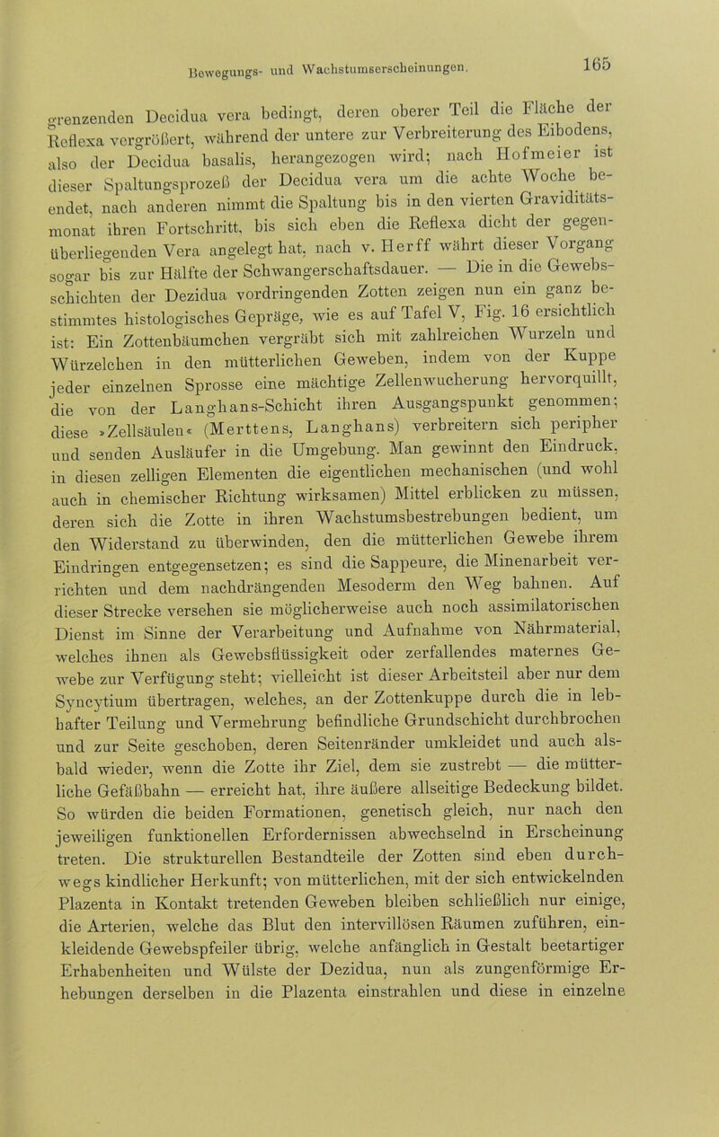 grenzenden Decidua vera bedingt, deren oberer Ted die Fläche der Reflexa vergrößert, während der untere zur Verbreiterung des Eibodens, also der Decidua basalis, herangezogen wird; nach Hofmeier ist dieser Spaltungsprozeß der Decidua vera um die achte Woche be- endet, nach anderen nimmt die Spaltung bis in den vierten Graviditäts- monat ihren Fortschritt, bis sich eben die Reflexa dicht der gegen- überliegenden Vera angelegt hat, nach v. Herff währt dieser Vorgang sogar bis zur Hälfte der Schwangerschaftsdauer. — Die in die Gewebs- schichten der Dezidua vordringenden Zotten zeigen nun ein ganz be- stimmtes histologisches Gepräge, wie es auf Tafel V, Fig. 16 ersichtlich ist: Ein Zottenbäumchen vergräbt sich mit zahlreichen Wurzeln und Würzelchen in den mütterlichen Geweben, indem von der Kuppe jeder einzelnen Sprosse eine mächtige Zellenwucherung hervorquillt, die von der Langhans-Schicht ihren Ausgangspunkt genommen; diese »Zellsäulen« (Merttens, Langhans) verbreitern sich peripher und senden Ausläufer in die Umgebung. Man gewinnt den Eindruck, in diesen zelligen Elementen die eigentlichen mechanischen (und wohl auch in chemischer Richtung wirksamen) Mittel erblicken zu müssen, deren sich die Zotte in ihren Wachstumsbestrebungen bedient, um den Widerstand zu überwinden, den die mütterlichen Gewebe ihrem Eindringen entgegensetzen; es sind die Sappeure, die Minenarbeit ver- richten und dem nachdrängenden Mesoderm den Weg bahnen. Auf dieser Strecke versehen sie möglicherweise auch noch assimilatorischen Dienst im Sinne der Verarbeitung und Aufnahme von Nährmaterial, welches ihnen als Gewebsflüssigkeit oder zerfallendes maternes Ge- webe zur Verfügung steht; vielleicht ist dieser Arbeitsteil aber nur dem Syncytium übertragen, welches, an der Zottenkuppe durch die in leb- hafter Teilung und Vermehrung befindliche Grundschicht durchbrochen und zur Seite geschoben, deren Seitenränder umkleidet und auch als- bald wieder, wenn die Zotte ihr Ziel, dem sie zustrebt — die mütter- liche Gefäßbahn — erreicht hat, ihre äußere allseitige Bedeckung bildet. So würden die beiden Formationen, genetisch gleich, nur nach den jeweiligen funktionellen Erfordernissen abwechselnd in Erscheinung treten. Die strukturellen Bestandteile der Zotten sind eben durch- wegs kindlicher Herkunft; von mütterlichen, mit der sich entwickelnden O 1 # Plazenta in Kontakt tretenden Geweben bleiben schließlich nur einige, die Arterien, welche das Blut den intervillösen Räumen zuführen, ein- kleidende Gewebspfeiler übrig, welche anfänglich in Gestalt beetartiger Erhabenheiten und Wülste der Dezidua, nun als zungenförmige Er- hebungen derselben in die Plazenta einstrahlen und diese in einzelne