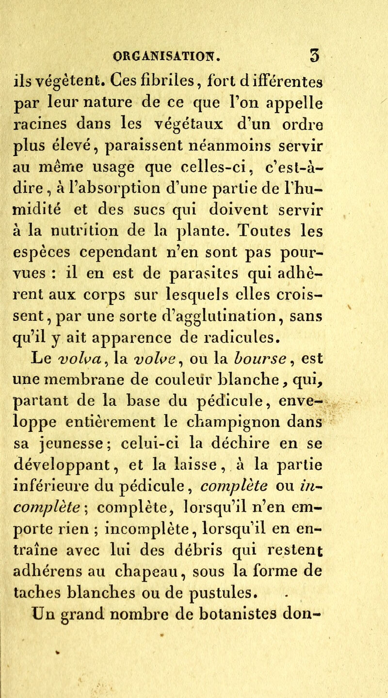 ils végètent. Ces fibriles, fort d ifférentes par leur nature de ce que l’on appelle racines dans les végétaux d’un ordre plus élevé, paraissent néanmoins servir au même usage que celles-ci, c’est-à- dire , à l’absorption d’une partie de l’hu- midité et des sucs qui doivent servir à la nutrition de la plante. Toutes les espèces cependant n’en sont pas pour- vues : il en est de parasites qui adhè- rent aux corps sur lesquels elles crois- sent, par une sorte d’agglutination, sans qu’il y ait apparence de radicules. Le volva, la volve, ou la bourse, est une membrane de couleur blanche, qui, partant de la base du pédicule, enve- loppe entièrement le champignon dans sa jeunesse; celui-ci la déchire en se développant, et la laissera la partie inférieure du pédicule, complète ou ùi- complète ; complète, lorsqu’il n’en em- porte rien ; incomplète, lorsqu’il en en- traîne avec lui des débris qui restent adhérens au chapeau, sous la forme de taches blanches ou de pustules. Un grand nombre de botanistes don-