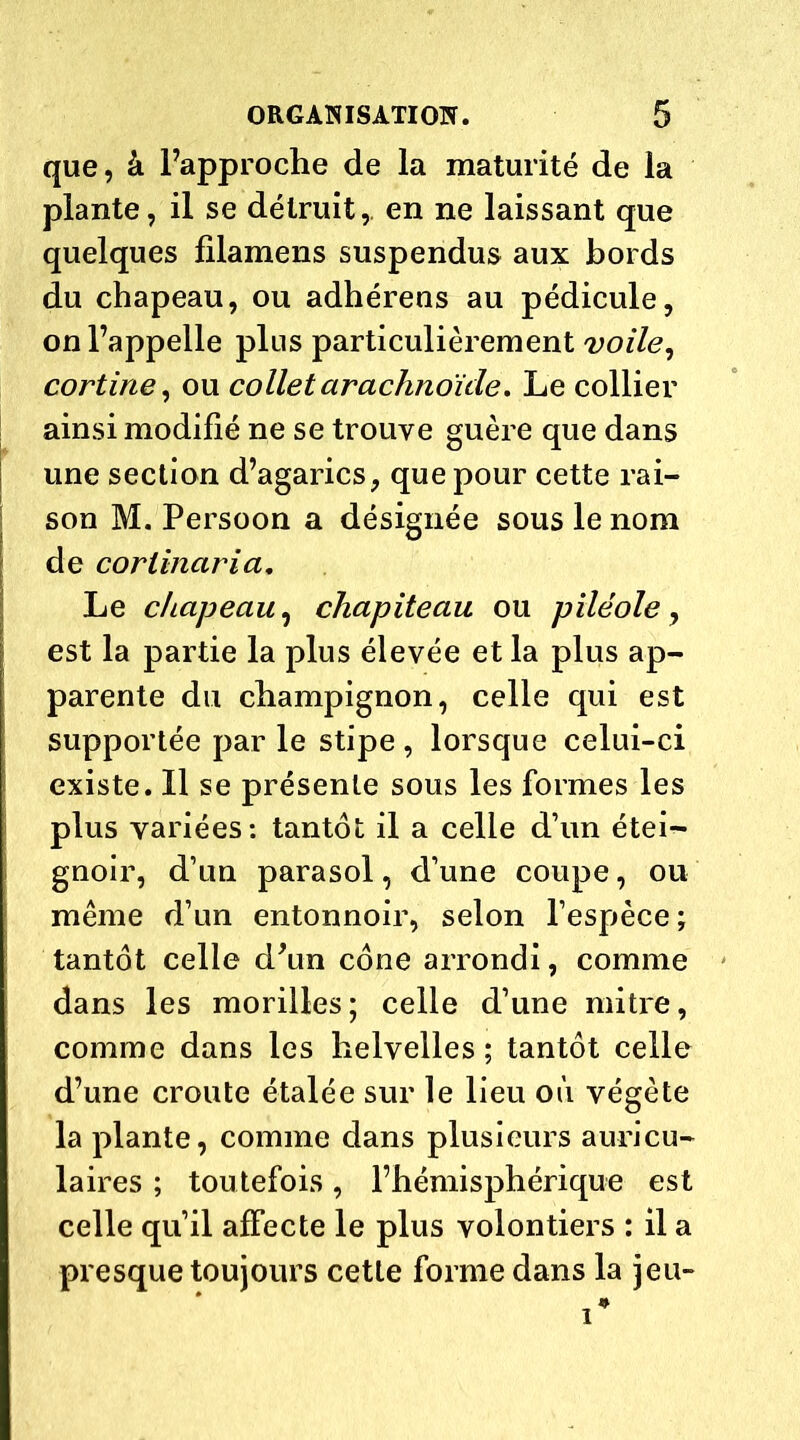 que, â Fapproche de la maturité de la plante, il se détruit, en ne laissant que quelques filamens suspendus aux bords du chapeau, ou adhérens au pédicule, on l’appelle plus particulièrement voile, cortine, ou collet arachnoïde. Le collier ainsi modifié ne se trouve guère que dans une section d’agarics, que pour cette rai- son M. Persoon a désignée sous le nom de corlinaria. Le chapeau, chapiteau ou pilé oie, est la partie la plus élevée et la plus ap- parente du champignon, celle qui est supportée par le stipe , lorsque celui-ci existe. Il se présente sous les formes les plus variées: tantôt il a celle d’un étei— gnoir, d’un parasol, d’une coupe, ou même d’un entonnoir, selon l’espèce; tantôt celle d’un cône arrondi, comme dans les morilles; celle d’une mitre, comme dans les helvelles ; tantôt celle d’une croûte étalée sur le lieu où végète la plante, comme dans plusieurs auricu- laires ; toutefois, l’hémisphérique est celle qu’il affecte le plus volontiers : il a presque toujours cette forme dans la jeu-