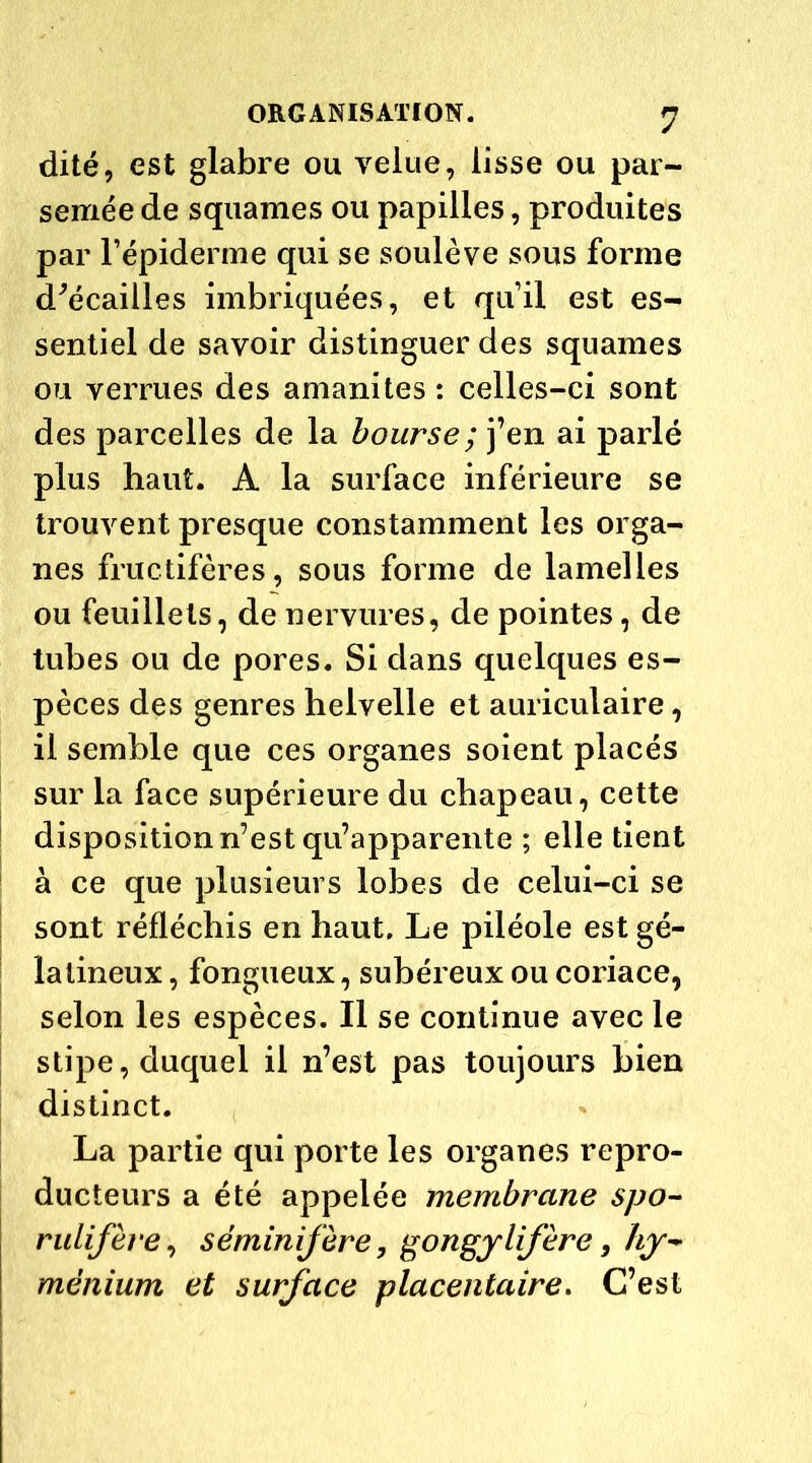 dite, est glabre ou velue, lisse ou par- semée de squames ou papilles, produites par l’épiderme qui se soulève sous forme d/écaiiles imbriquées, et qu’il est es- sentiel de savoir distinguer des squames ou verrues des amanites : celles-ci sont des parcelles de la bourse ; j’en ai parlé plus haut. A la surface inférieure se trouvent presque constamment les orga- nes fructifères, sous forme de lamelles ou feuillets, de nervures, de pointes, de tubes ou de pores. Si dans quelques es- pèces des genres helvelle et auriculaire, il semble que ces organes soient placés sur la face supérieure du chapeau, cette disposition n’est qu’apparente ; elle tient ! à ce que plusieurs lobes de celui-ci se | sont réfléchis en haut. Le piléole est gé- latineux , fongueux, subéreux ou coriace, selon les espèces. Il se continue avec le stipe, duquel il n’est pas toujours bien distinct. La partie qui porte les organes repro- ducteurs a été appelée membrane spo- rulifère, séminifère, gongjlifère, hy~ mênium et surface placentaire. C’est