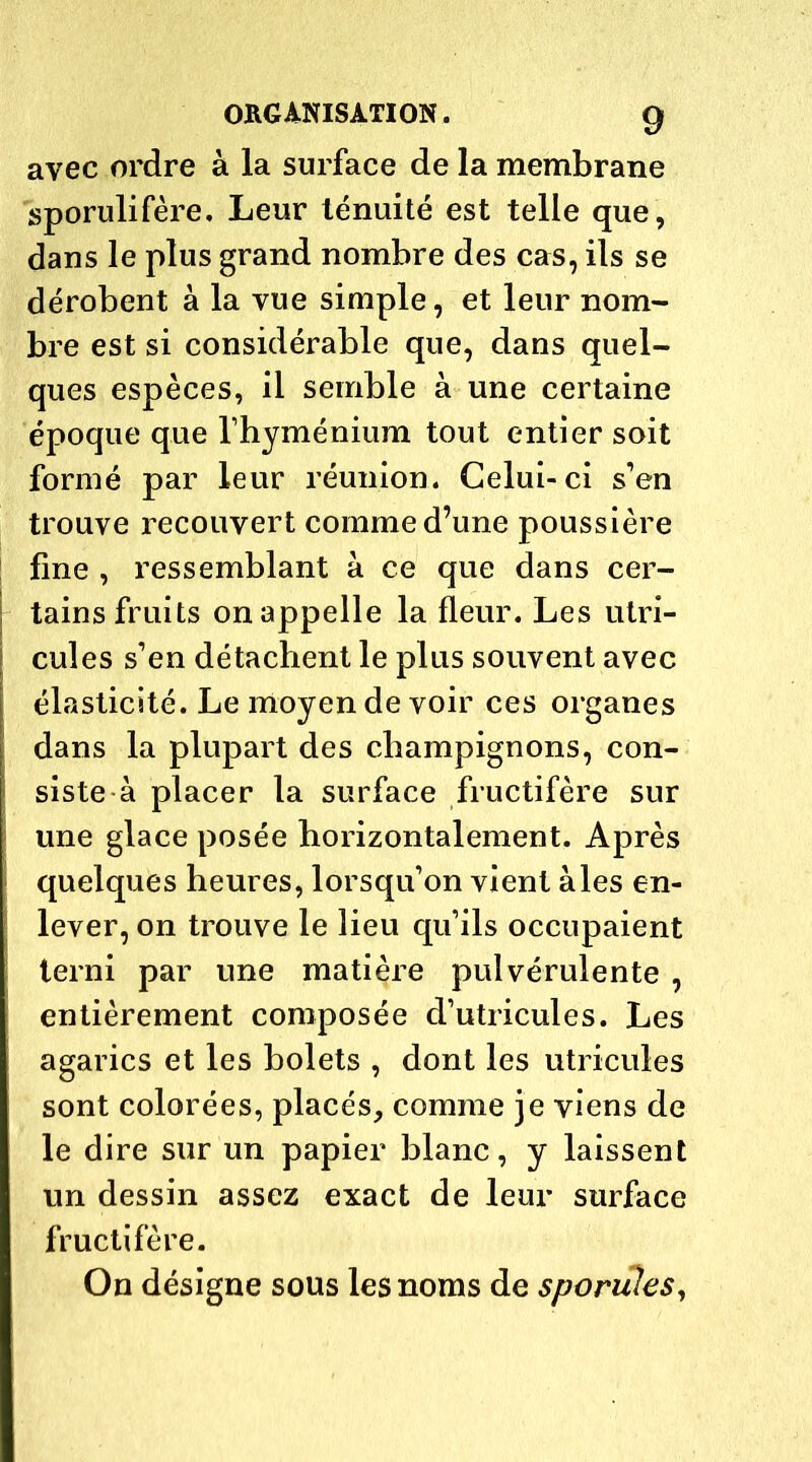 avec ordre à la surface de la membrane sporulifère. Leur ténuité est telle que, dans le plus grand nombre des cas, ils se dérobent à la vue simple, et leur nom- bre est si considérable que, dans quel- ques espèces, il semble à une certaine époque que Thyménium tout entier soit formé par leur réunion. Celui-ci s’en trouve recouvert comme d’une poussière fine , ressemblant à ce que dans cer- tains fruits on appelle la fleur. Les utri- cules s’en détachent le plus souvent avec élasticité. Le moyen de voir ces organes dans la plupart des champignons, con- siste à placer la surface fructifère sur une glace posée horizontalement. Après quelques heures, lorsqu’on vient aies en- lever, on trouve le lieu qu’ils occupaient terni par une matière pulvérulente , entièrement composée d’utricules. Les agarics et les bolets , dont les utricules sont colorées, placés, comme je viens de le dire sur un papier blanc, y laissent un dessin assez exact de leur surface fructifère. On désigne sous les noms de sporules,