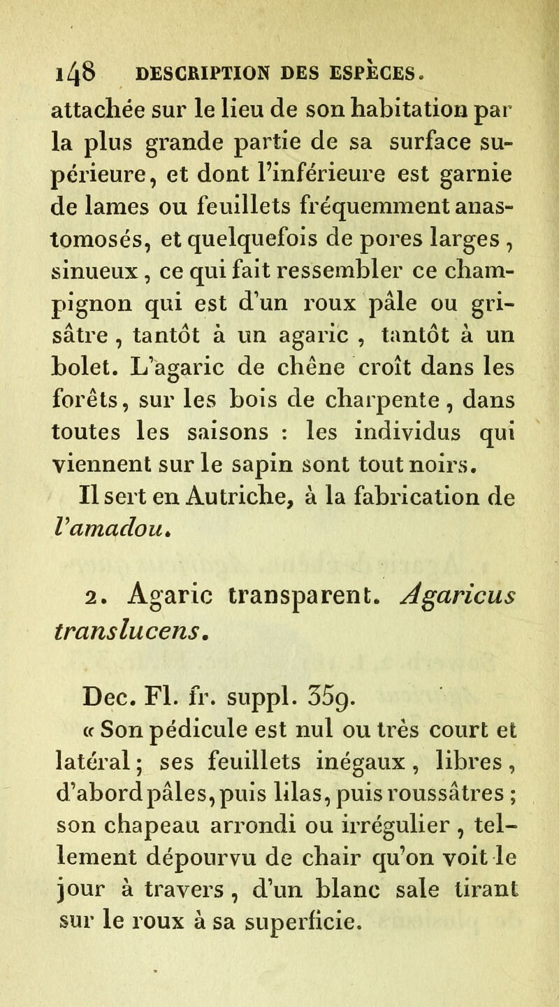 attachée sur le lieu de son habitation par la plus grande partie de sa surface su- périeure, et dont l’inférieure est garnie de lames ou feuillets fréquemment anas- tomosés, et quelquefois de pores larges , sinueux, ce qui fait ressembler ce cham- pignon qui est d’un roux pâle ou gri- sâtre , tantôt à un agaric , tantôt à un bolet. L’agaric de chêne croît dans les forêts, sur les bois de charpente, dans toutes les saisons : les individus qui viennent sur le sapin sont tout noirs. Il sert en Autriche, à la fabrication de V amadou. 2. Agaric transparent. Agaricus translucens. Dec. Fl. fr. suppl. 35g. (c Son pédicule est nul ou très court et latéral ; ses feuillets inégaux , libres , d’abord pâles, puis lilas, puis roussâtres ; son chapeau arrondi ou irrégulier , tel- lement dépourvu de chair qu’on voit le jour à travers , d’un blanc sale tirant sur le roux à sa superficie.