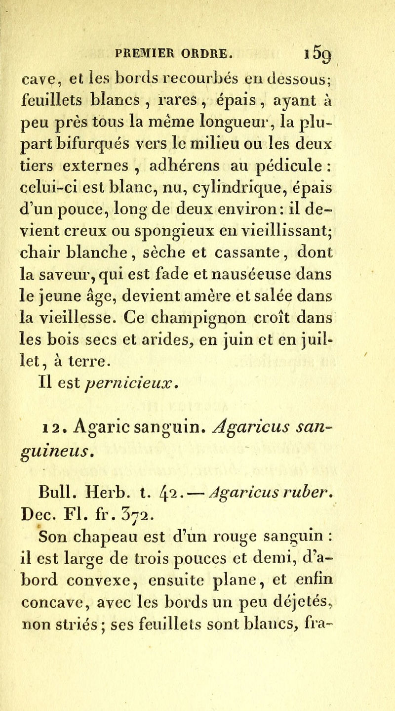 cave, et les bords recourbés en dessous; feuillets blancs , rares, épais, ayant à peu près tous la meme longueur, la plu- part bifurqués vers le milieu ou les deux tiers externes , adhérens au pédicule : celui-ci est blanc, nu, cylindrique, épais d’un pouce, long de deux environ: il de- vient creux ou spongieux en vieillissant; chair blanche, sèche et cassante, dont la saveur, qui est fade et nauséeuse dans le jeune âge, devient amère et salée dans la vieillesse. Ce champignon croît dans les bois secs et arides, en juin et en juil- let , à terre. Il est pernicieux. 12. Agaric sanguin. Agaric-us san- guineus. Bull. Herb. t. 4*2 • — Agaricus ruber. Dec. Fl. fr. 3y2. Son chapeau est d’un rouge sanguin : il est large de trois pouces et demi, d’a- bord convexe, ensuite plane, et enfin concave, avec les bords un peu déjetés, non striés ; ses feuillets sont blancs, fra-