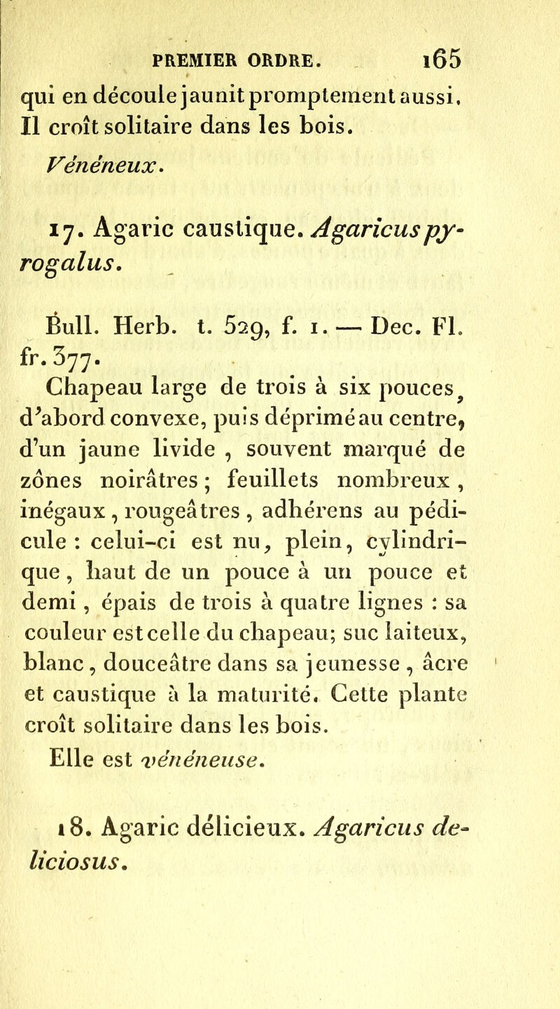 qui en découle jaunit promptement aussi. Il croît solitaire dans les bois. Vénéneux. 17. Agaric caustique. Agaricuspy- rogalus. Bull. Herb. t. 529, f. 1. — Dec. Fl. fr. 377. Chapeau large de trois à six pouces d'abord convexe, puis dépriméau centre, d’un jaune livide , souvent marqué de zones noirâtres ; feuillets nombreux , inégaux, rougeâtres, adhérens au pédi- cule: celui-ci est nu, plein, cylindri- que , baut de un pouce à un pouce et demi , épais de trois à quatre lignes : sa couleur est celle du chapeau; suc laiteux, blanc, douceâtre dans sa jeunesse , âcre et caustique à la maturité. Cette plante croît solitaire dans les bois. Elle est vénéneuse. 18. Agaric délicieux. Agaricus de- liciosus.