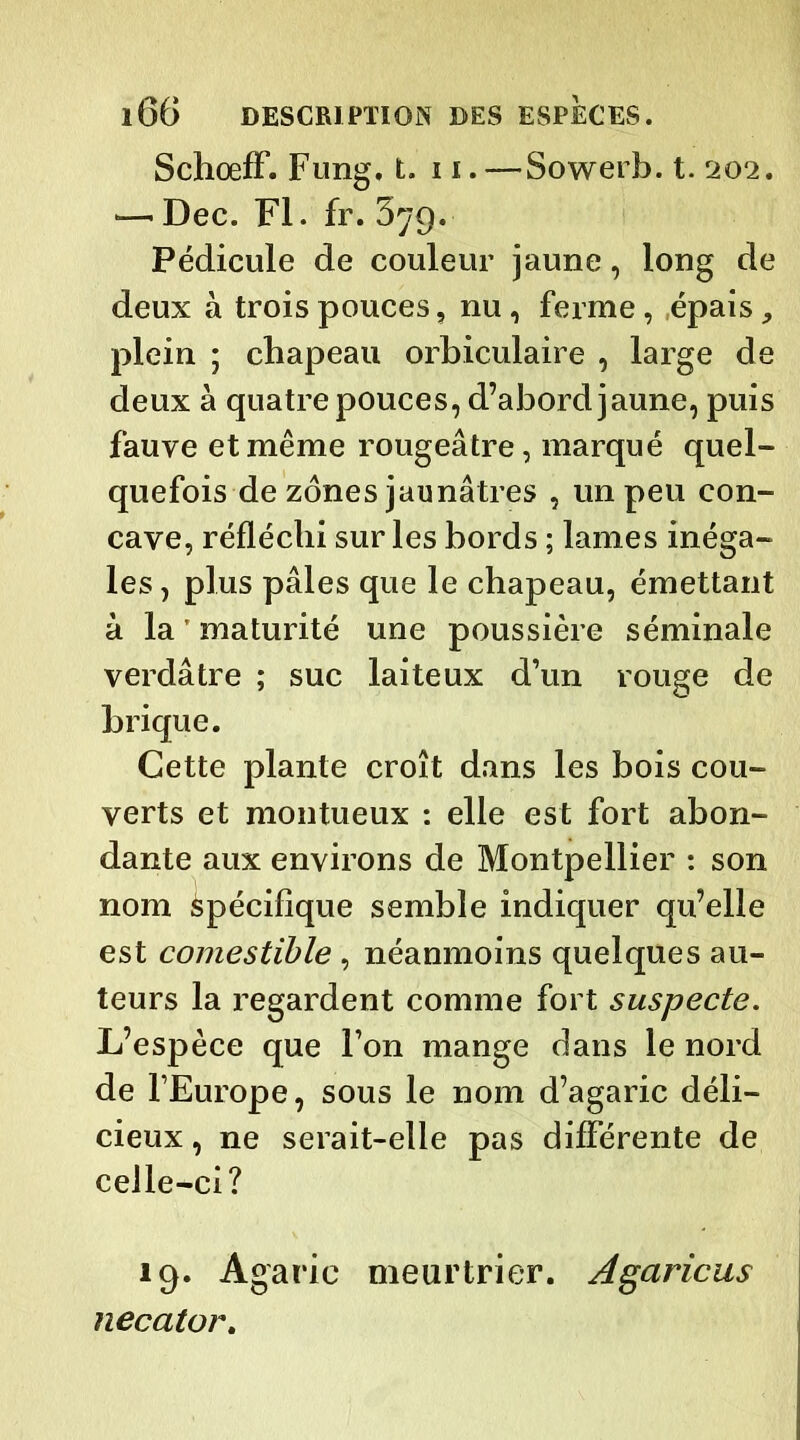 Schœff. Fung. t. 11. —Sowerb. t. 202. — Dec. Fl. fr. 379. Pédicule de couleur jaune, long de deux à trois pouces, nu, ferme, épais, plein ; chapeau orbiculaire , large de deux à quatre pouces, d’abord jaune, puis fauve et même rougeâtre , marqué quel- quefois de zones jaunâtres , un peu con- cave, réfléchi sur les bords ; lames inéga- les , plus pâles que le chapeau, émettant à la ’ maturité une poussière séminale verdâtre ; suc laiteux d’un rouge de brique. Cette plante croît dans les bois cou- verts et montueux : elle est fort abon- dante aux environs de Montpellier : son nom Spécifique semble indiquer qu’elle est comestible , néanmoins quelques au- teurs la regardent comme fort suspecte. L’espèce que l’on mange dans le nord de l’Europe, sous le nom d’agaric déli- cieux , ne serait-elle pas différente de celle-ci? 19. Agaric meurtrier. Agaricus necator.