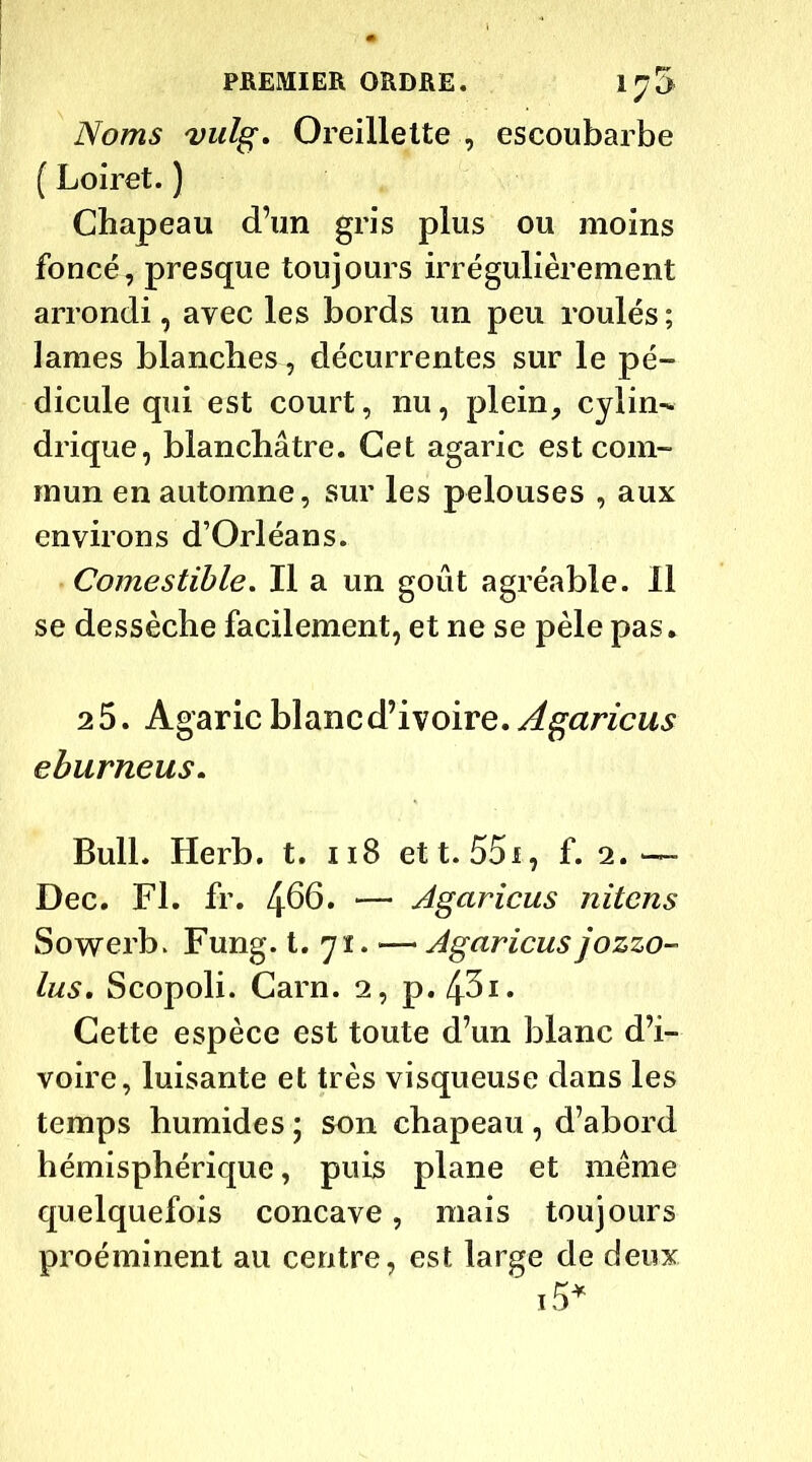 Noms vulg. Oreillette , escoubarbe ( Loiret. ) Chapeau d’un gris plus ou moins foncé, presque toujours irrégulièrement arrondi, avec les bords un peu roulés ; lames blanches, décurrentes sur le pé- dicule qui est court, nu, plein, cylin- drique, blanchâtre. Cet agaric est com- mun en automne, sur les pelouses , aux environs d’Orléans. Comestible. Il a un goût agréable. Il se dessèche facilement, et ne se pèle pas. 25. Agaric blanc d’ivoire. Agaricus eburneus. Bull. Herb. t. 118 ett. 55i, f. 2. —- Dec. Fl. fr. 466. — Agaricus nitens Sowerb. Fung. t. y ï. — Agaricus jozzo- lus. Scopoli. Carn. 2, p. 43i. Cette espèce est toute d’un blanc d’i- voire, luisante et très visqueuse dans les temps humides ; son chapeau , d’abord hémisphérique, puis plane et même quelquefois concave, mais toujours proéminent au centre, est large de deux i5*