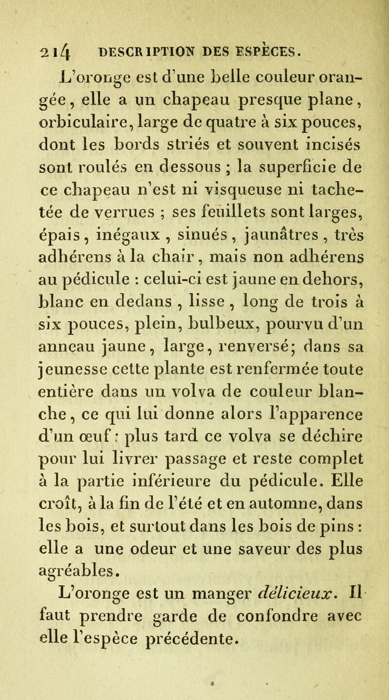 L’oronge est d’une belle couleur oran- gée , elle a un chapeau presque plane, orbiculaire, large de quatre à six pouces, dont les bords striés et souvent incisés sont roulés en dessous ; la superficie de ce chapeau n’est ni visqueuse ni tache- tée de verrues ; ses feuillets sont larges, épais , inégaux , sinués , jaunâtres , très adhérens à la chair, mais non adhérens au pédicule : celui-ci est jaune en dehors, blanc en dedans , lisse , long de trois à six pouces, plein, bulbeux, pourvu d’un anneau jaune, large, renversé; dans sa jeunesse cette plante est renfermée toute entière dans un volva de couleur blan- che , ce qui lui donne alors l’apparence d’un œuf : plus tard ce volva se déchire pour lui livrer passage et reste complet à la partie inférieure du pédicule. Elle croît, à la fin de l’été et en automne, dans les bois, et surtout dans les bois de pins : elle a une odeur et une saveur des plus agréables. L’oronge est un manger délicieux. Il faut prendre garde de confondre avec elle l’espèce précédente.