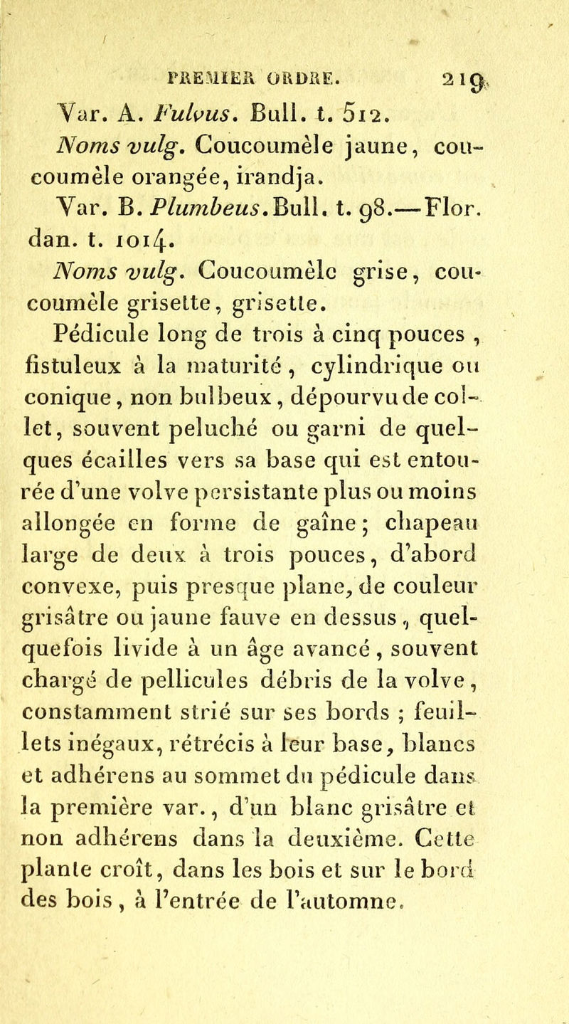 Var. A. Fulvus. Bull. t. 5i2. Noms vulg. Coucoumèle jaune, cou- eoumèle orangée, irandja. Yar. B. Plumbeus.Bull. t. g8.—Flor. dan. t. 1014. Noms vulg. Coucoumèle grise, cou- coumèle griselte, grisetle. Pédicule long de trois à cinq pouces , fistuleux à la maturité , cylindrique ou conique, non bulbeux, dépourvu de col- let, souvent peluché ou garni de quel- ques écailles vers sa base qui est entou- rée d’une volve persistante plus ou moins allongée en forme de gaine ; chapeau large de deux à trois pouces, d’abord convexe, puis presque plane, de couleur grisâtre ou jaune fauve en dessus , quel- quefois livide à un âge avancé, souvent chargé de pellicules débris de la volve , constamment strié sur ses bords ; feuil- lets inégaux, rétrécis à leur base, blancs et adhérens au sommet du pédicule dans la première var., d’un blanc grisâtre et non adhérens dans la deuxième. Cette plante croît, dans les bois et sur le bord des bois, à l’entrée de l’automne.