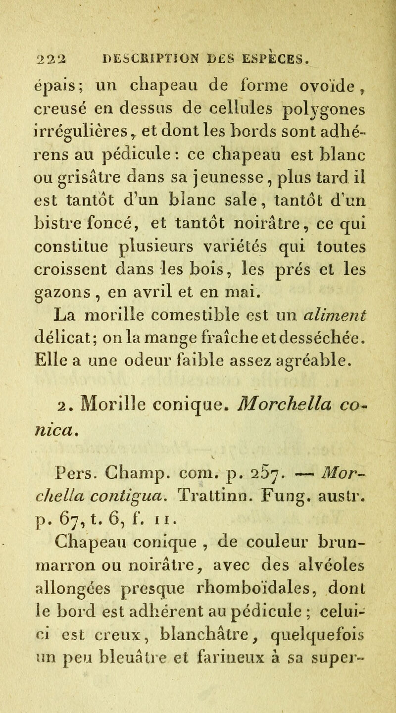 épais ; un chapeau de forme ovoïde , creusé en dessus de cellules polygones irrégulièreset dont les bords sont adhé- rens au pédicule : ce chapeau est blanc ou grisâtre dans sa jeunesse, plus tard il est tantôt d’un blanc sale, tantôt d’un bistre foncé, et tantôt noirâtre, ce qui constitue plusieurs variétés qui toutes croissent dans les bois, les prés et les gazons , en avril et en mai. La morille comestible est un aliment délicat; onia mange fraîche et desséchée. Elle a une odeur faible assez agréable. 2. Morille conique. Morchella co- nica. P ers. Champ, com. p. 2 5y. — Mor- chella continua. Trattinn. Fung. austr. p. 67, t. 6, f. 11. Chapeau conique , de couleur brun- marron ou noirâtre, avec des alvéoles allongées presque rhomboïdales, dont le bord est adhérent au pédicule ; celui- ci est creux, blanchâtre, quelquefois un peu bleuâtre et farineux à sa super-