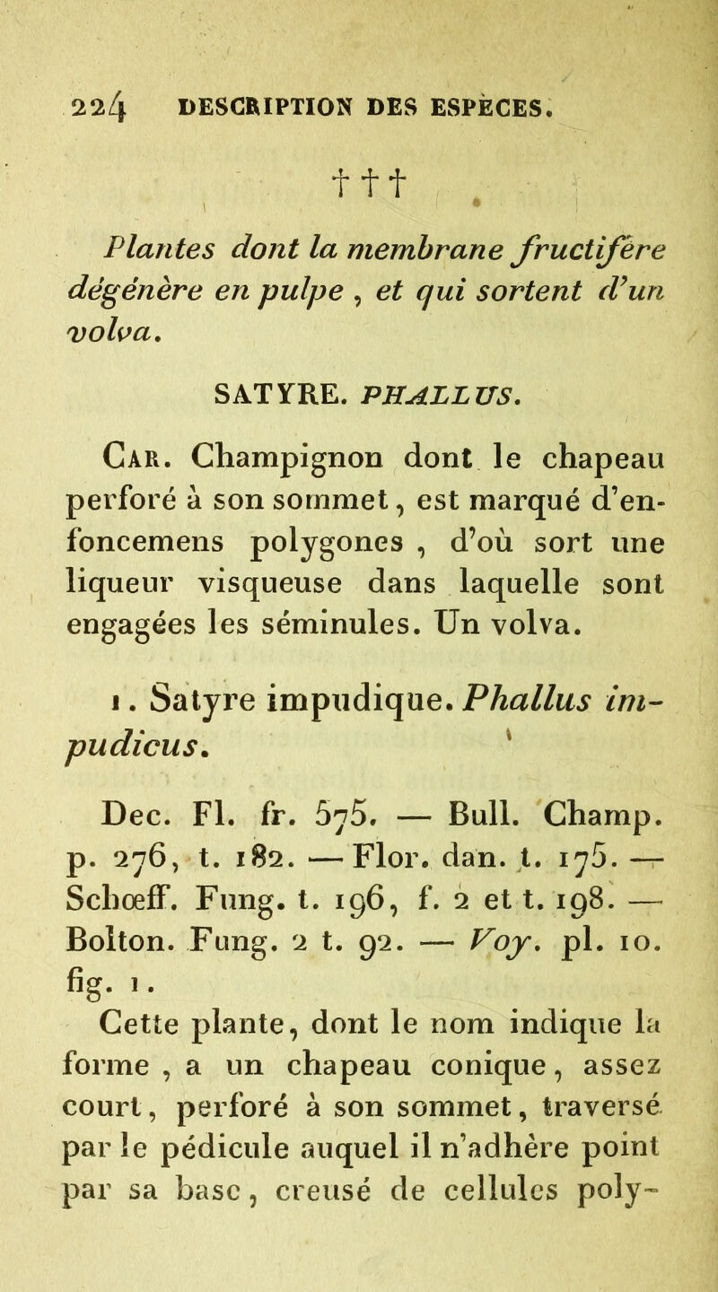 t f f Plantes dont la membrane fructifère dégénère en pulpe , et qui sortent d’un volva. SATYRE. PHALLUS. Car. Champignon dont le chapeau perforé à son sommet, est marqué d’en- foncemens polygones , d’où sort une liqueur visqueuse dans laquelle sont engagées les séminules. Un volva. i. Satyre impudique. Phallus im- pudicus. Dec. Fl. fr. 5^5. — Bull. Champ, p. 276, t. 182.—Flor. dan. t. 175.-— Schœff. Fung. t. 196, f. 2 et t. 198. — Bolton. Fung. 2 t. 92. — Fojr. ph 10. fig. 1. Cette plante, dont le nom indique la forme , a un chapeau conique, assez court, perforé à son sommet, traversé par le pédicule auquel il n’adhère point par sa base, creusé de cellules poly-
