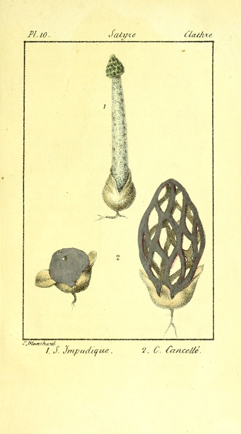 PL W. ClcUface Satyre <r'.%ta*ichsl>ul/