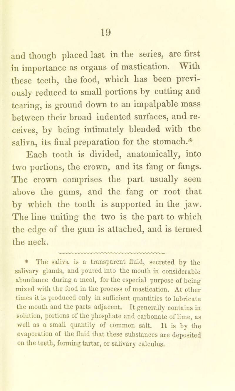 and though placed last in the series, are first in importance as organs of mastication. With these teeth, the food, which has been previ- ously reduced to small portions by cutting and tearing, is ground down to an impalpable mass between their broad indented surfaces, and re- ceives, by being intimately blended with the saliva, its final preparation for the stomach.* Each tooth is divided, anatomically, into two portions, the crown, and its fang or fangs. The crown comprises the part usually seen above the gums, and the fang or root that by which the tooth is supported in the jaw. The line uniting the two is the part to which the edge of the gum is attached, and is termed the neck. * The saliva is a transparent fluid, secreted by the salivary glands, and poured into the mouth in considerable abundance during a meal, for the especial purpose of being mixed -with the food in the process of mastication. At other times it is produced only in sufficient quantities to lubricate the moutli and the parts adjacent. It generally contains in solution, portions of the phosphate and carbonate of lime, as ■well as a small quantity of common salt. It is by the evaporation of the fluid that these substances are deposited on the teeth, forming tartar, or salivary calculus.