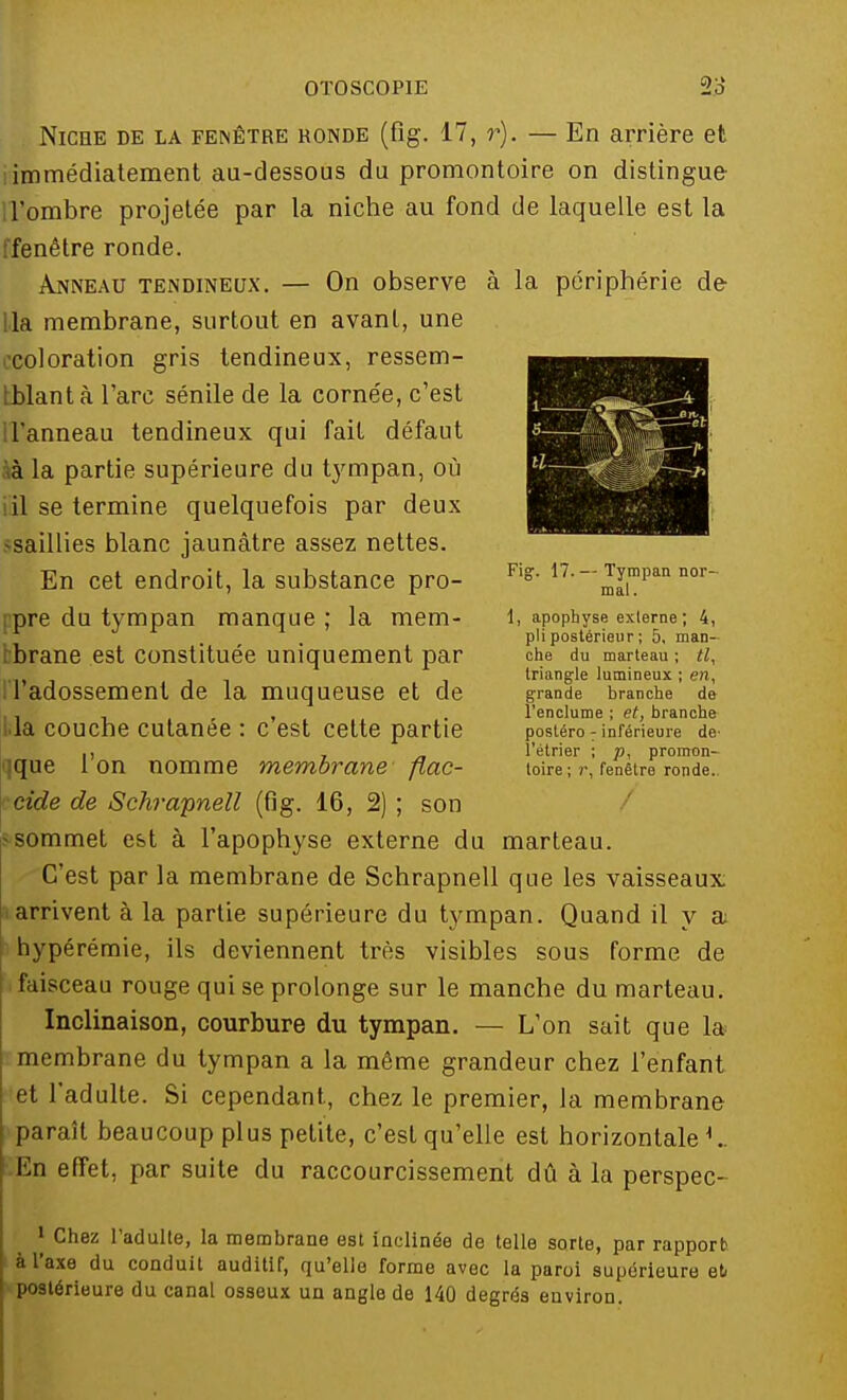 NicnE de la fenêtre ronde (fig. 17, r). — En arrière et immédiatement au-dessous du promontoire on distingue l'ombre projetée par la niche au fond de laquelle est la ffenêtre ronde. Anneau tendineux. — On observe à la périphérie de la membrane, surtout en avant, une ecoloration gris tendineux, ressem- blant à l'arc sénile de la cornée, c'est l'anneau tendineux qui fait défaut à la partie supérieure du tympan, où il se termine quelquefois par deux -saillies blanc jaunâtre assez nettes. En cet endroit, la substance pro- pre du tympan manque ; la mem- brane est constituée uniquement par i Tadossement de la muqueuse et de la couche cutanée : c'est cette partie jque l'on nomme membrane flac- cide de Schrapnell (flg. 16, 2) ; son -sommet est à l'apophyse externe du marteau. C'est par la membrane de Schrapnell que les vaisseaux arrivent à la partie supérieure du tympan. Quand il y a hypérémie, ils deviennent très visibles sous forme de faisceau rouge qui se prolonge sur le manche du marteau. Inclinaison, courbure du tympan. — L'on sait que la membrane du tympan a la même grandeur chez l'enfant et l'adulte. Si cependant, chez le premier, la membrane paraît beaucoup plus petite, c'est qu'elle est horizontale1.. En effet, par suite du raccourcissement dû à la perspec- Fig. 17.— Tympan nor- mal. 1, apophyse externe; 4, pli postérieur ; 5, man- che du marteau ; tl, triangle lumineux ; en, grande branche de l'enclume ; et, branche postéro - inférieure de' l'étrier ; p, promon- toire ; r, fenêtre ronde. 1 Chez l'adulte, la membrane est inclinée de telle sorte, par rapport à l'axe du conduit auditif, qu'elle forme avec la paroi supérieure et postérieure du canal osseux un angle de 140 degrés environ.