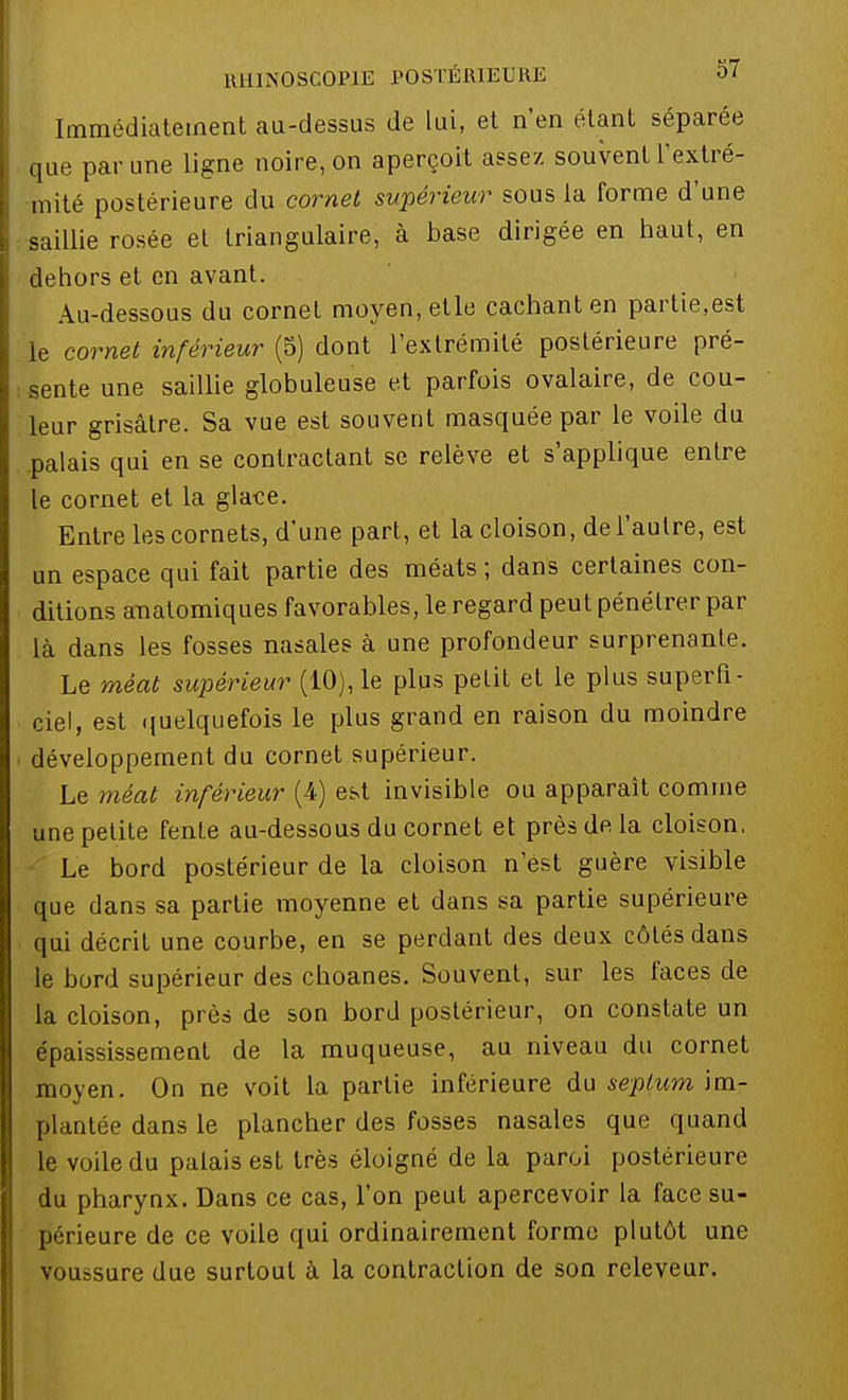Immédiatement au-dessus de lui, et n'en étant séparée que par une ligne noire, on aperçoit assez souvent Y extré- mité postérieure du cornet supérieur sous la forme d'une saillie rosée et triangulaire, à base dirigée en haut, en dehors et en avant. Au-dessous du cornet moyen, elle cachant en partie,est le cornet inférieur (5) dont l'extrémité postérieure pré- sente une saillie globuleuse et parfois ovalaire, de cou- leur grisâtre. Sa vue est souvent masquée par le voile du palais qui en se contractant se relève et s'applique entre le cornet et la glace. Entre les cornets, d'une part, et la cloison, de l'autre, est un espace qui fait partie des méats ; dans certaines con- ditions anatomiques favorables, le regard peut pénétrer par là dans les fosses nasales à une profondeur surprenante. Le méat supérieur (10), le plus petit et le plus superfi- ciel, est quelquefois le plus grand en raison du moindre i développement du cornet supérieur. Le méat inférieur (4) est invisible ou apparaît comme une petite fente au-dessous du cornet et près de la cloison, Le bord postérieur de la cloison n'est guère visible que dans sa partie moyenne et dans sa partie supérieure qui décrit une courbe, en se perdant des deux côtés dans le bord supérieur des choanes. Souvent, sur les faces de la cloison, près de son bord postérieur, on constate un épaississement de la muqueuse, au niveau du cornet moyen. On ne voit la partie inférieure du seplum im- plantée dans le plancher des fosses nasales que quand le voile du palais est très éloigné de la paroi postérieure du pharynx. Dans ce cas, l'on peut apercevoir la face su- périeure de ce voile qui ordinairement forme plutôt une voussure due surtout à la contraction de son releveur.