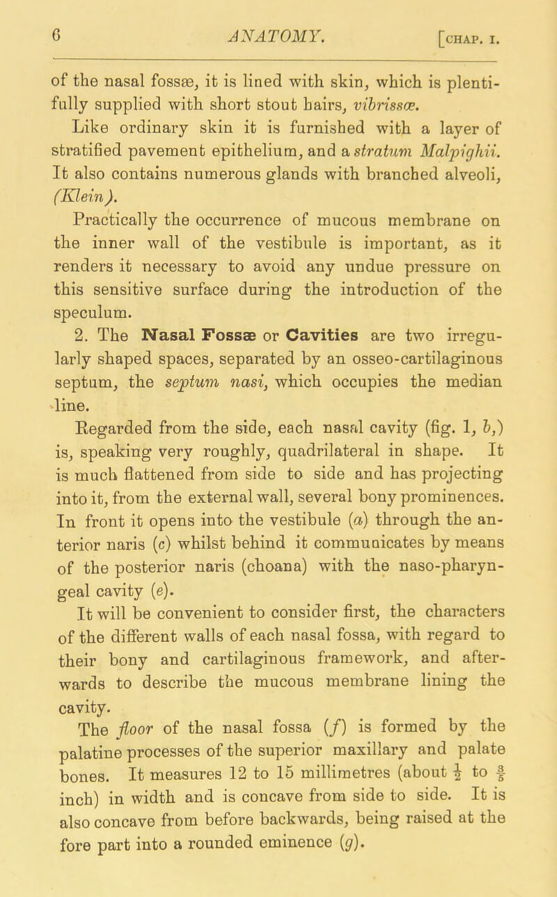 of the nasal fossae, it is lined with skin, which is plenti- fully supplied with short stout hairs, vibrissa?. Like ordinary skin it is furnished with a layer of stratified pavement epithelium, and a stratum Malpighii. It also contains numerous glands with branched alveoli, (Klein ). Practically the occurrence of mucous membrane on the inner wall of the vestibule is important, as it renders it necessary to avoid any undue pressure on this sensitive surface during the introduction of the speculum. 2. The Nasal Fossae or Cavities are two irregu- larly shaped spaces, separated by an osseo-cartilaginous septum, the septum nasi, which occupies the median line. Regarded from the side, each nasal cavity (fig. 1, b,) is, speaking very roughly, quadrilateral in shape. It is much flattened from side to side and has projecting into it, from the external wall, several bony prominences. In front it opens into the vestibule (a) through the an- terior naris (c) whilst behind it communicates by means of the posterior naris (choana) with the naso-pharyn- geal cavity (e). It will be convenient to consider first, the characters of the different walls of each nasal fossa, with regard to their bony and cartilaginous framework, and after- wards to describe the mucous membrane lining the cavity. The floor of the nasal fossa (/) is formed by the palatine processes of the superior maxillary and palate bones. It measures 12 to 15 millimetres (about ^ to § inch) in width and is concave from side to side. It is also concave from before backwards, being raised at the fore part into a rounded eminence (y).