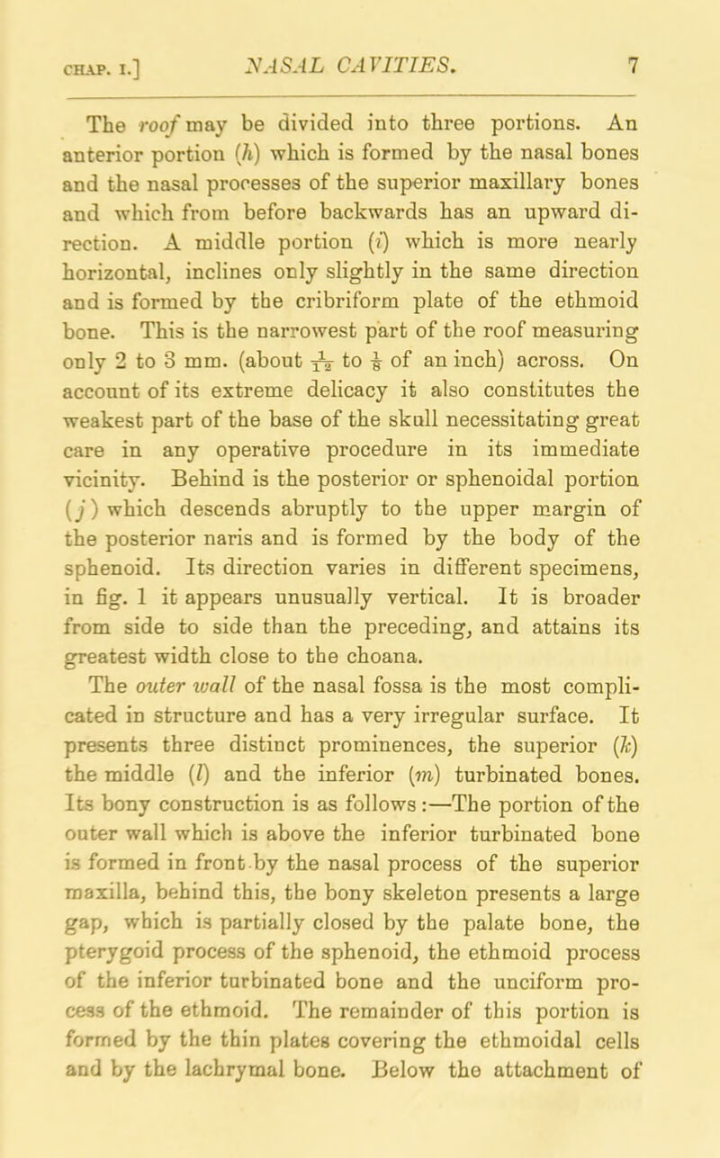 The roof may be divided into three portions. An anterior portion (h) which is formed by the nasal bones and the nasal processes of the superior maxillary bones and which from before backwards has an upward di- rection. A middle portion (?') which is more nearly horizontal, inclines only slightly in the same direction and is formed by the cribriform plate of the ethmoid bone. This is the narrowest part of the roof measuring only 2 to 3 mm. (about ^ to ^ of an inch) across. On account of its extreme delicacy it also constitutes the weakest part of the base of the sknll necessitating great care in any operative procedure in its immediate vicinity. Behind is the posterior or sphenoidal portion (j) which descends abruptly to the upper margin of the posterior naris and is formed by the body of the sphenoid. Its direction varies in different specimens, in fig. 1 it appears unusually vertical. It is broader from side to side than the preceding, and attains its greatest width close to the choana. The older wall of the nasal fossa is the most compli- cated in structure and has a very irregular surface. It presents three distinct prominences, the superior (1c) the middle (1) and the inferior (m) turbinated bones. Its bony construction is as follows :—The portion of the outer wall which is above the inferior turbinated bone is formed in front by the nasal process of the superior maxilla, behind this, the bony skeleton presents a large gap, which is partially closed by the palate bone, the pterygoid process of the sphenoid, the ethmoid process of the inferior turbinated bone and the unciform pro- cess of the ethmoid. The remainder of this portion is formed by the thin plates covering the ethmoidal cells and by the lachrymal bone. Below the attachment of