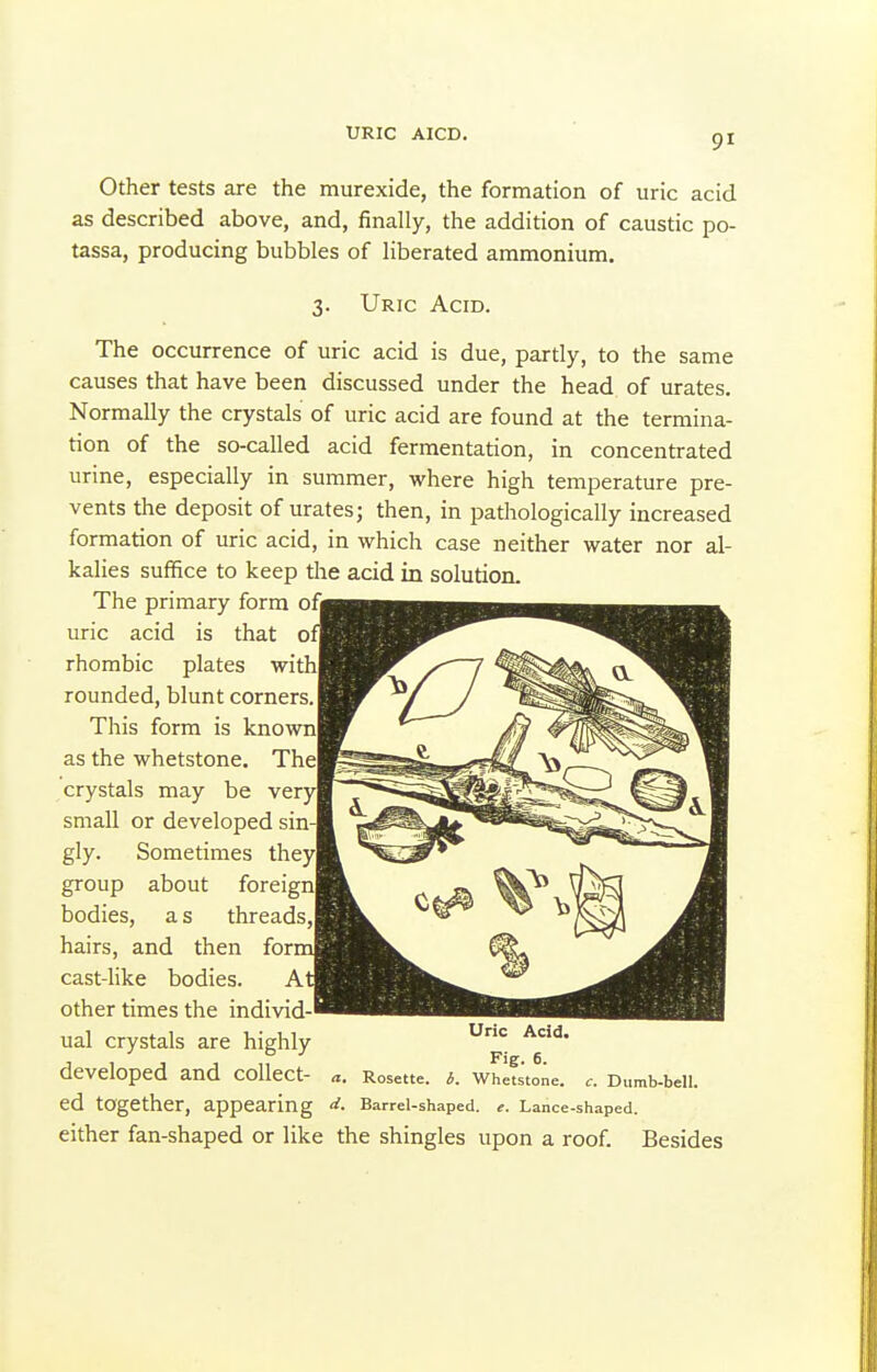 URIC AICD. Other tests are the murexide, the formation of uric acid as described above, and, finally, the addition of caustic po- tassa, producing bubbles of liberated ammonium. 3. Uric Acid. The occurrence of uric acid is due, partly, to the same causes that have been discussed under the head of urates. Normally the crystals of uric acid are found at the termina- tion of the so-called acid fermentation, in concentrated urine, especially in summer, where high temperature pre- vents the deposit of urates; then, in pathologically increased formation of uric acid, in which case neither water nor al- kalies suffice to keep tlie acid in solution. The primary form ofj uric acid is that 0 rhombic plates with rounded, blunt corners, This form is known as the whetstone. The crystals may be very small or developed sin gly. Sometimes they group about foreign bodies, a s threads hairs, and then for cast-hke bodies. A other times the individ-' ual crystals are highly developed and collect- ed together, appearing Rosette Barrel-shaped Uric Acid Fig. 6. b. Whetstone. Dumb-bell. e. Lance-shaped. either fan-shaped or like the shingles upon a roof. Besides