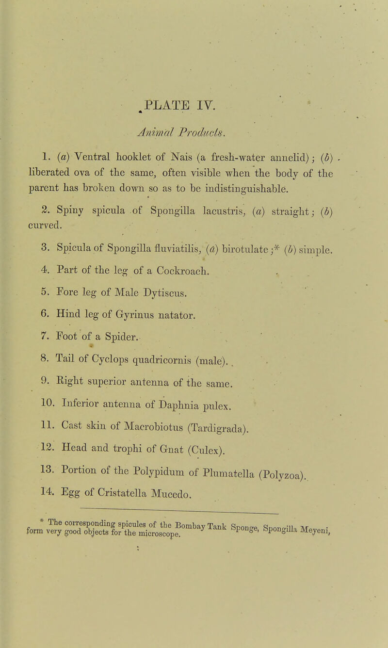 Animal Products. 1. («) Ventral booklet of Nais (a fresh-water annelid); {b) liberated ova of the same, often visible when the body of the parent has broken down so as to be indistinguishable. 2. Spiny spicula of Spongilla lacustris, (a) straight; (h) curved. 3. Spicula of Spongilla fluviatilis, {a) birotulate;^ {h) simple. 4. Part of the leg of a Cockroach. 5. Fore leg of Male Dytiscus. 6. Hind leg of Gyrinus natator. 7. Foot of a Spider. 8. Tail of Cyclops quadricornis (male). • 9. Right superior antenna of the same. 10. Inferior antenna of Daphnia pulex. 11. Cast skin of Macrobiotus (Tardigrada). 12. Head and trophi of Gnat (Culex). 13. Portion of the Polypidum of Plumatella (Polyzoa). 14. Egg of Cristatella Mucedo. fonn* JSfbr-tfoSSiolS;?'^ Meyeni.