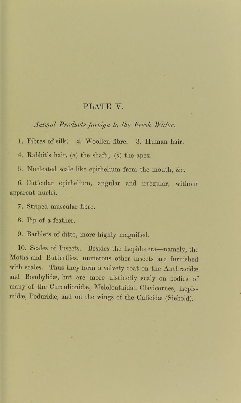 Animal Products foreign to the Fresh Water. 1. Fibres of silk; 2. Woollen fibre. 3. Human hair. 4. Rabbit^s hair, («) the shaft; {b) the apex. 5. Nucleated scale-like epithelium from the mouthy &c. 6. Cuticular epithelium^ angular and irregular,, without apparent nuclei, 7. Striped muscular fibre. 8. Tip of a feather. 9. Barblets of ditto^ more highly magnified. 10. Scales of Insects. Besides the Lepidotera—namely^ the Moths and Butterflies^ numerous other Id sects are furnished with scales. Thus they form a velvety coat on the Anthracidse and Bombylidse, but are more distinctly scaly on bodies of many of the Curculionidae, Melolonthidae, Clavicornes, Lepis- midse, Poduridse, and on the wings of the CulicidEe (Siebold).